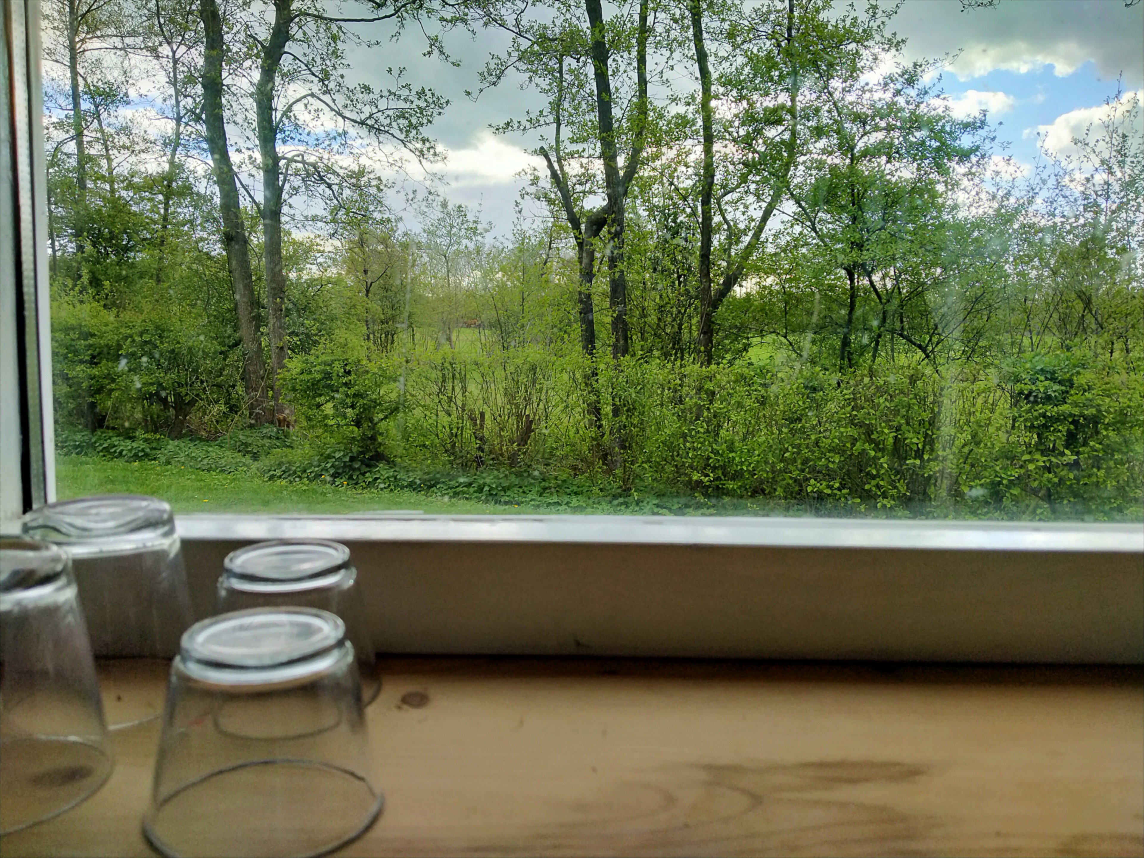 Naturhäuschen in Kollumerzwaag
