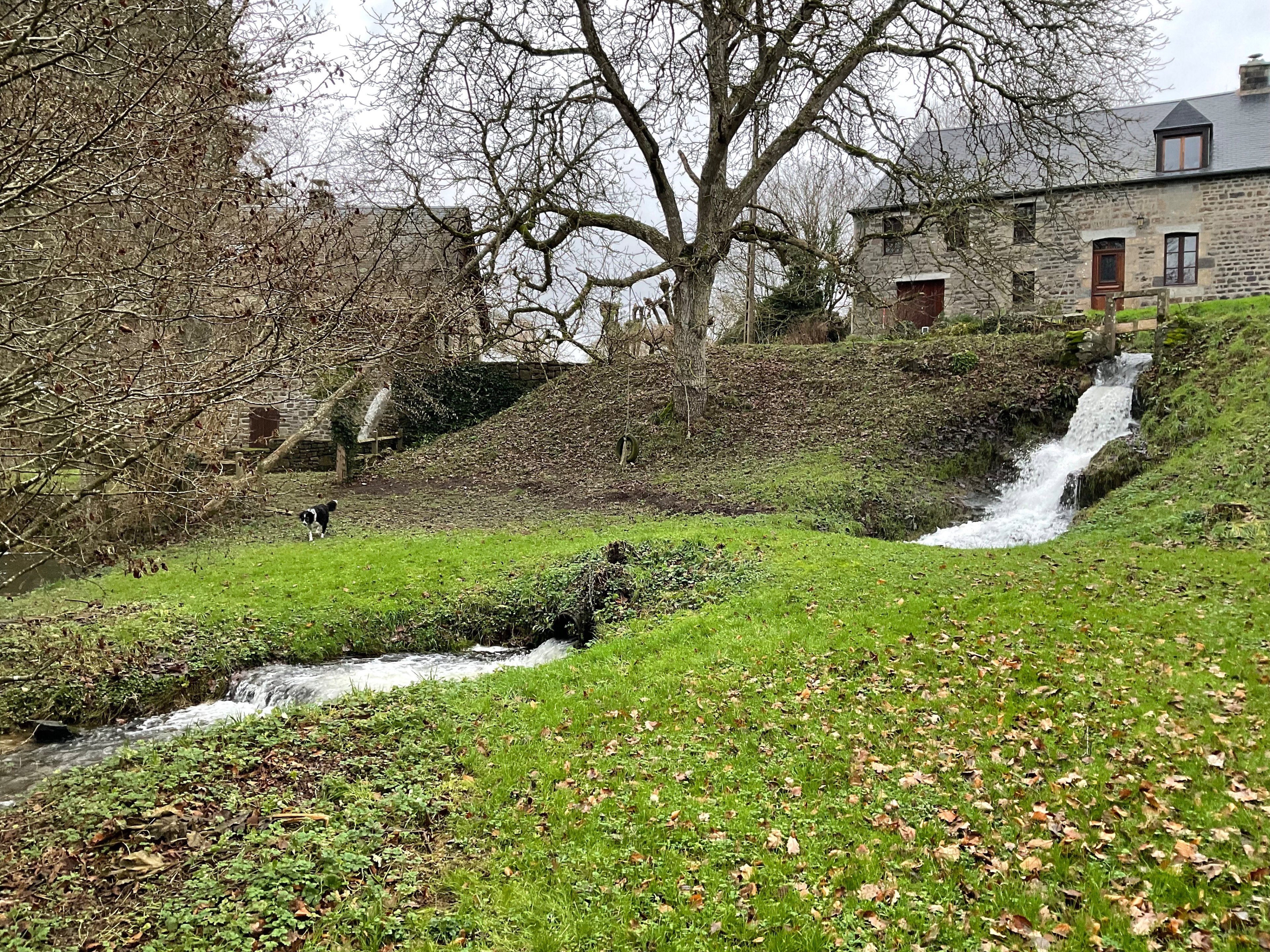Maison nature à Villebaudon