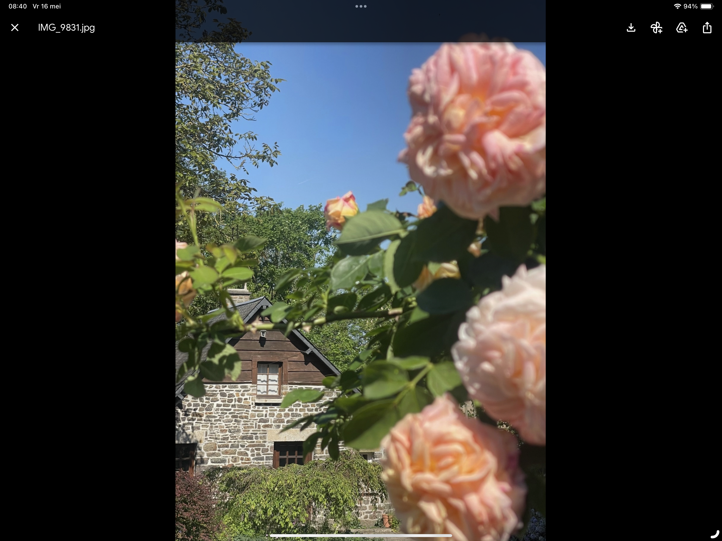 - image: 21