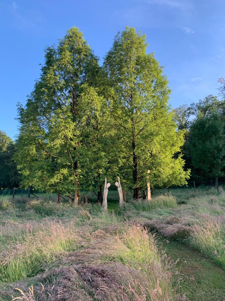 Naturhäuschen in Vorden