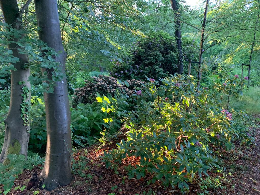 Naturhäuschen in Vorden