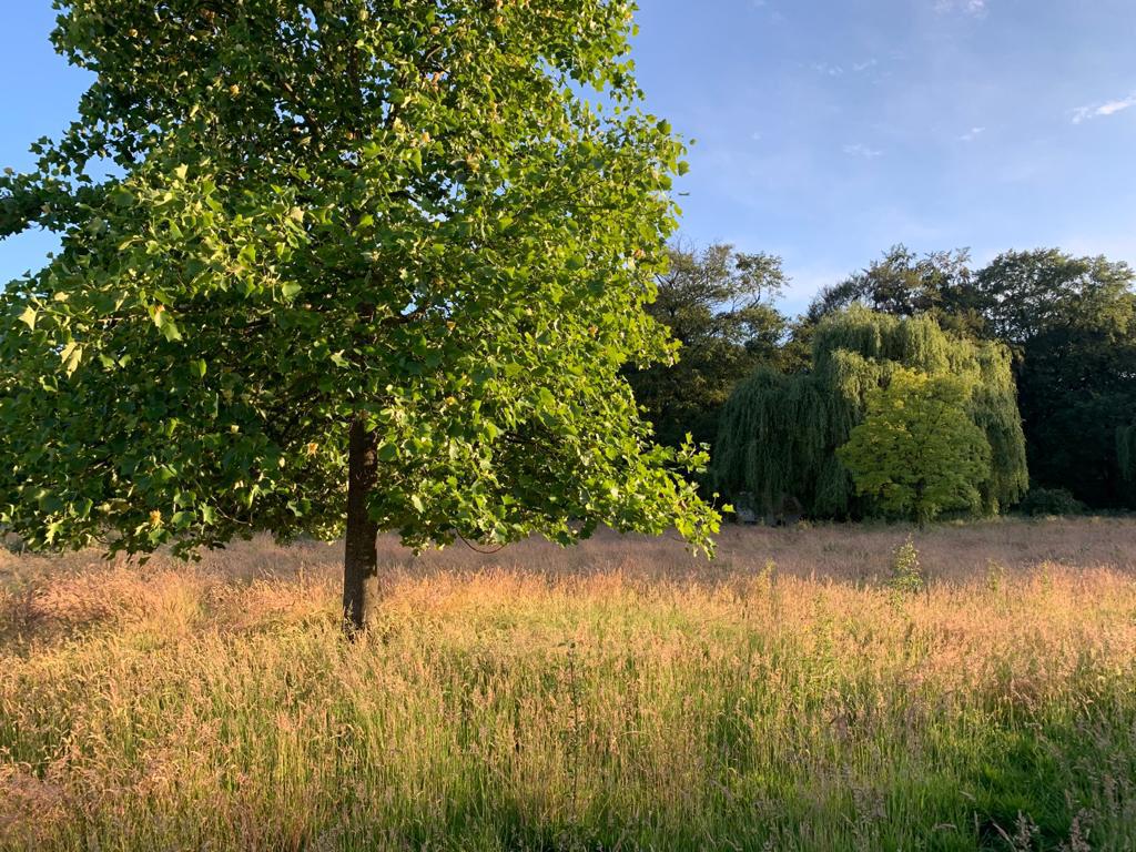 Naturhäuschen in Vorden