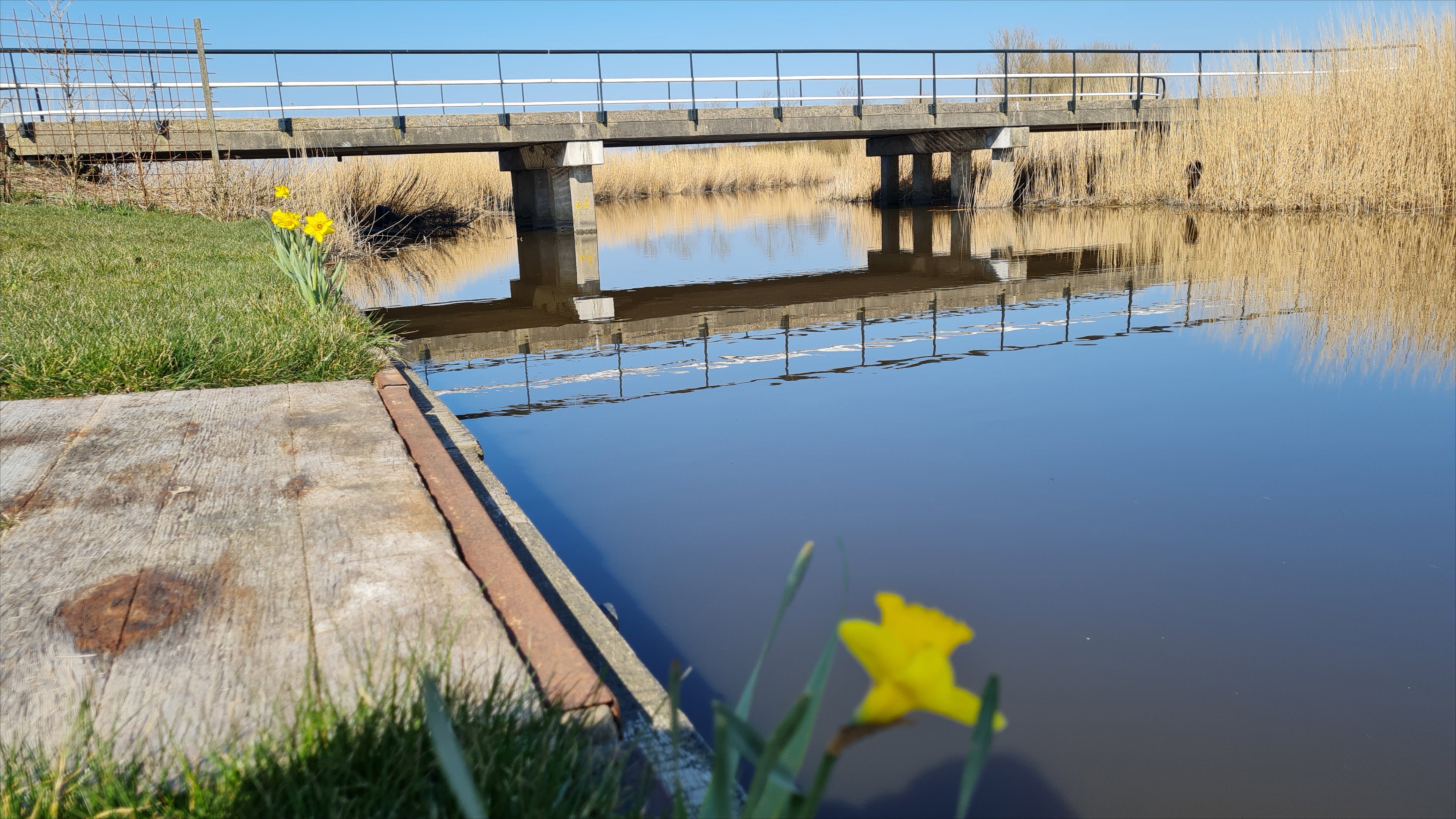 Natuurhuisje in Wanswerd