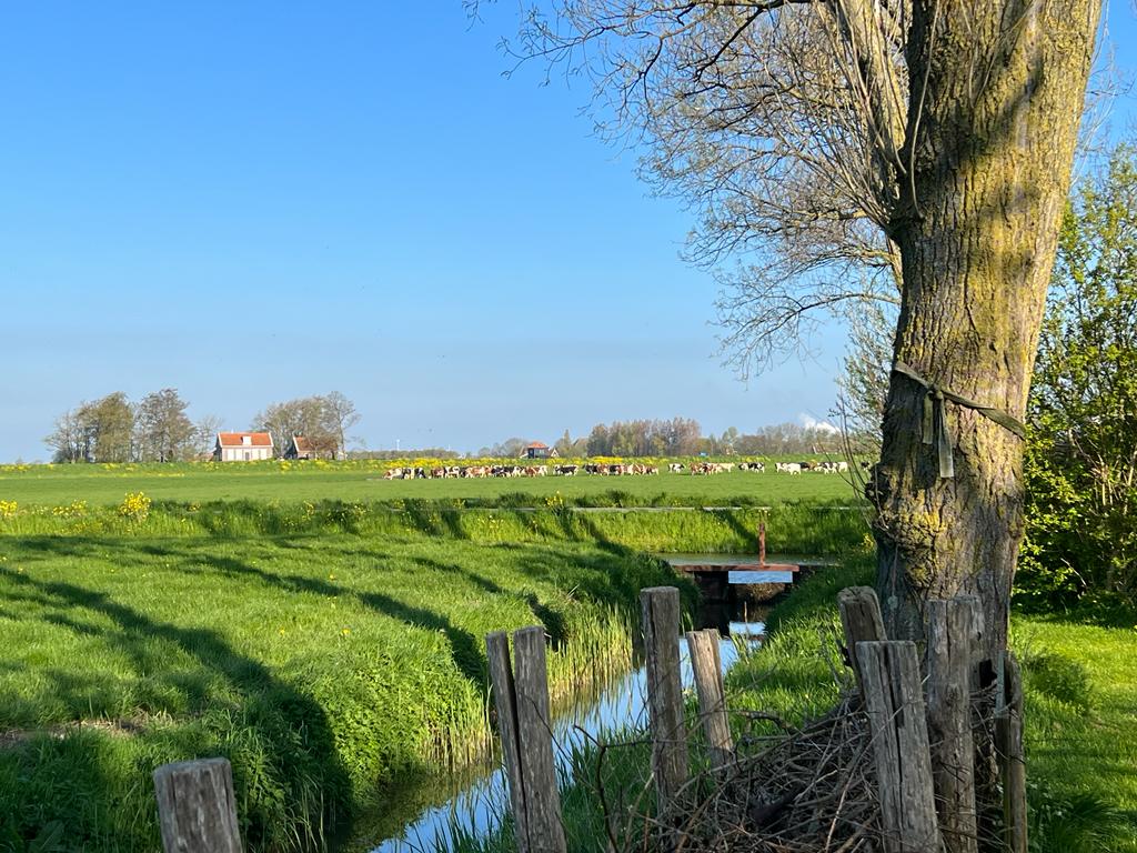 Naturhäuschen in Grootschermer