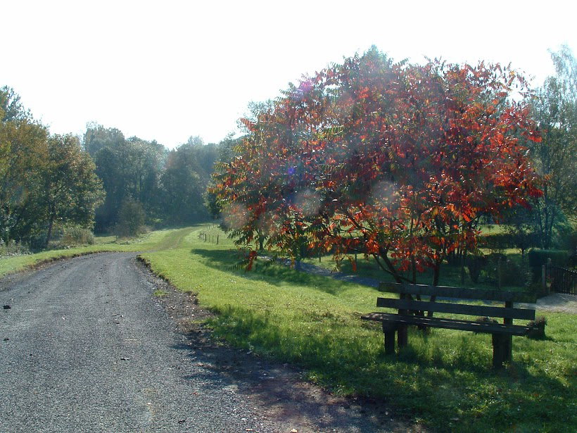 - image: 15