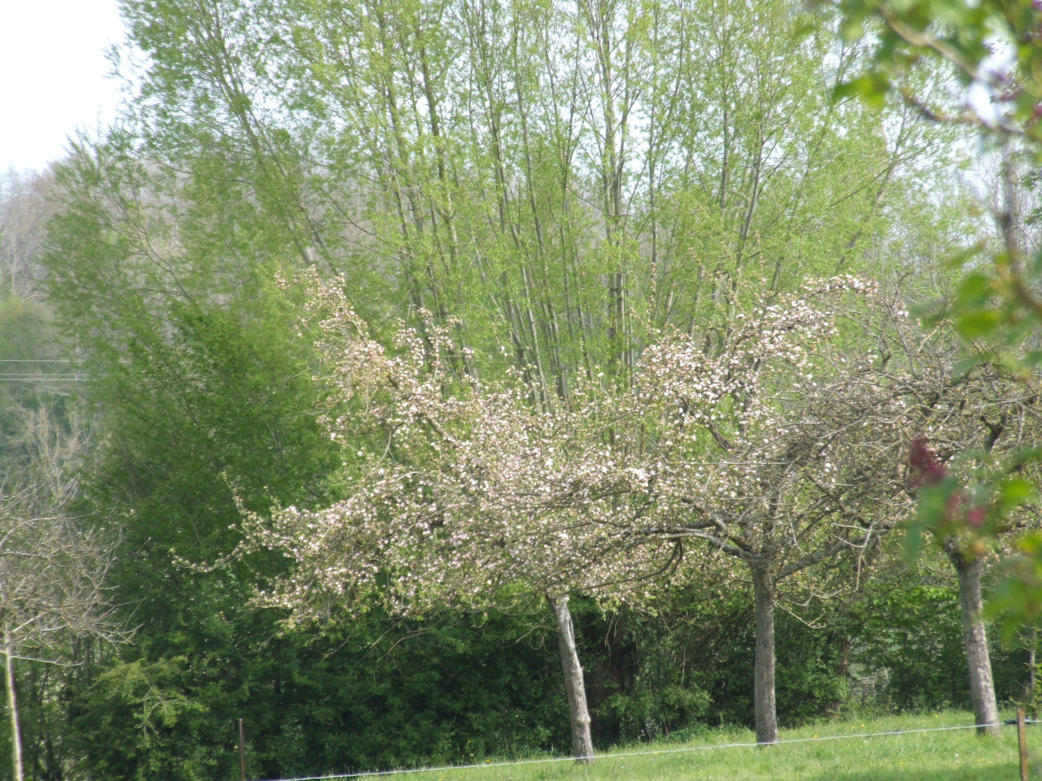 - image: 13
