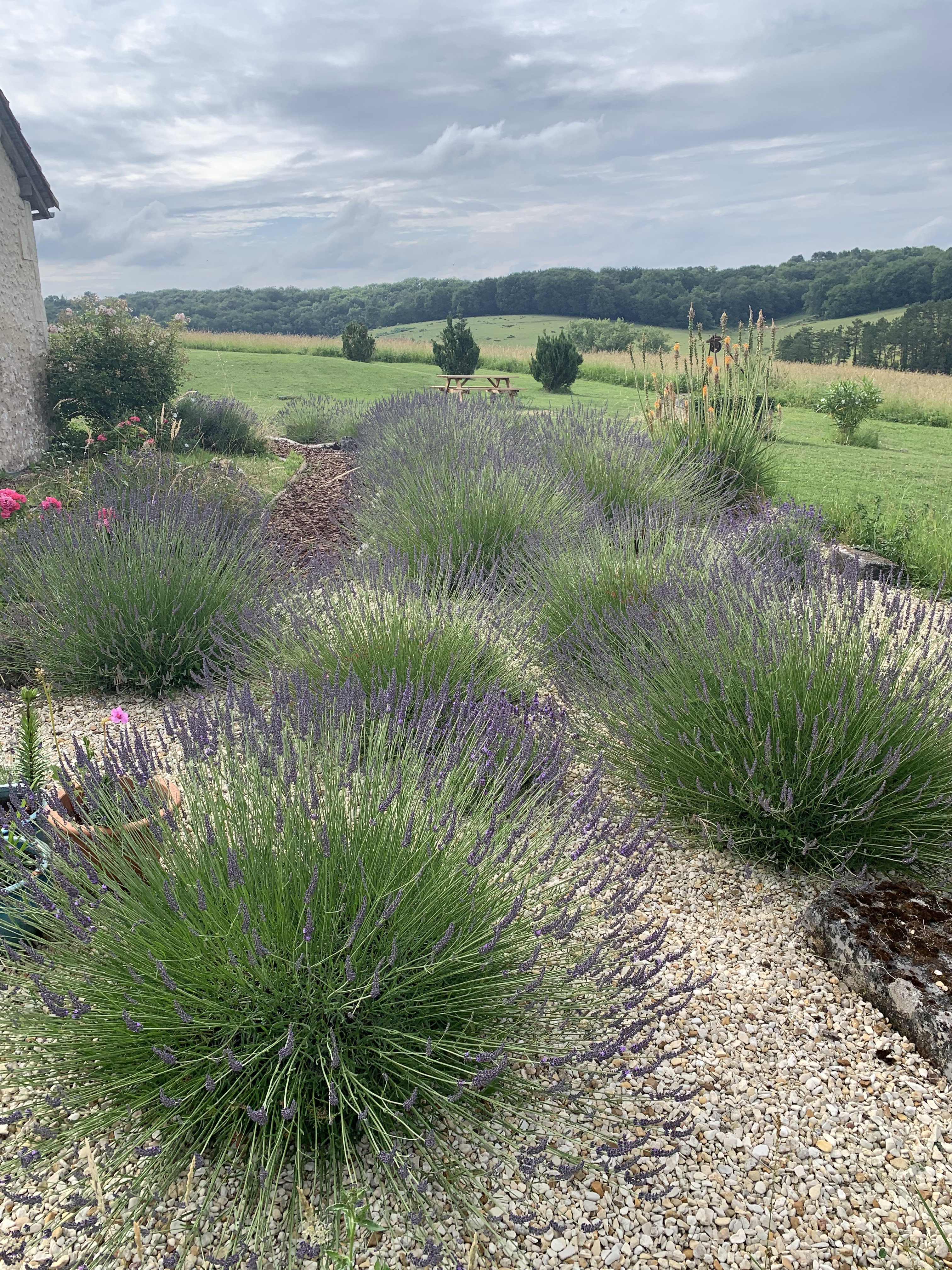- image: 19