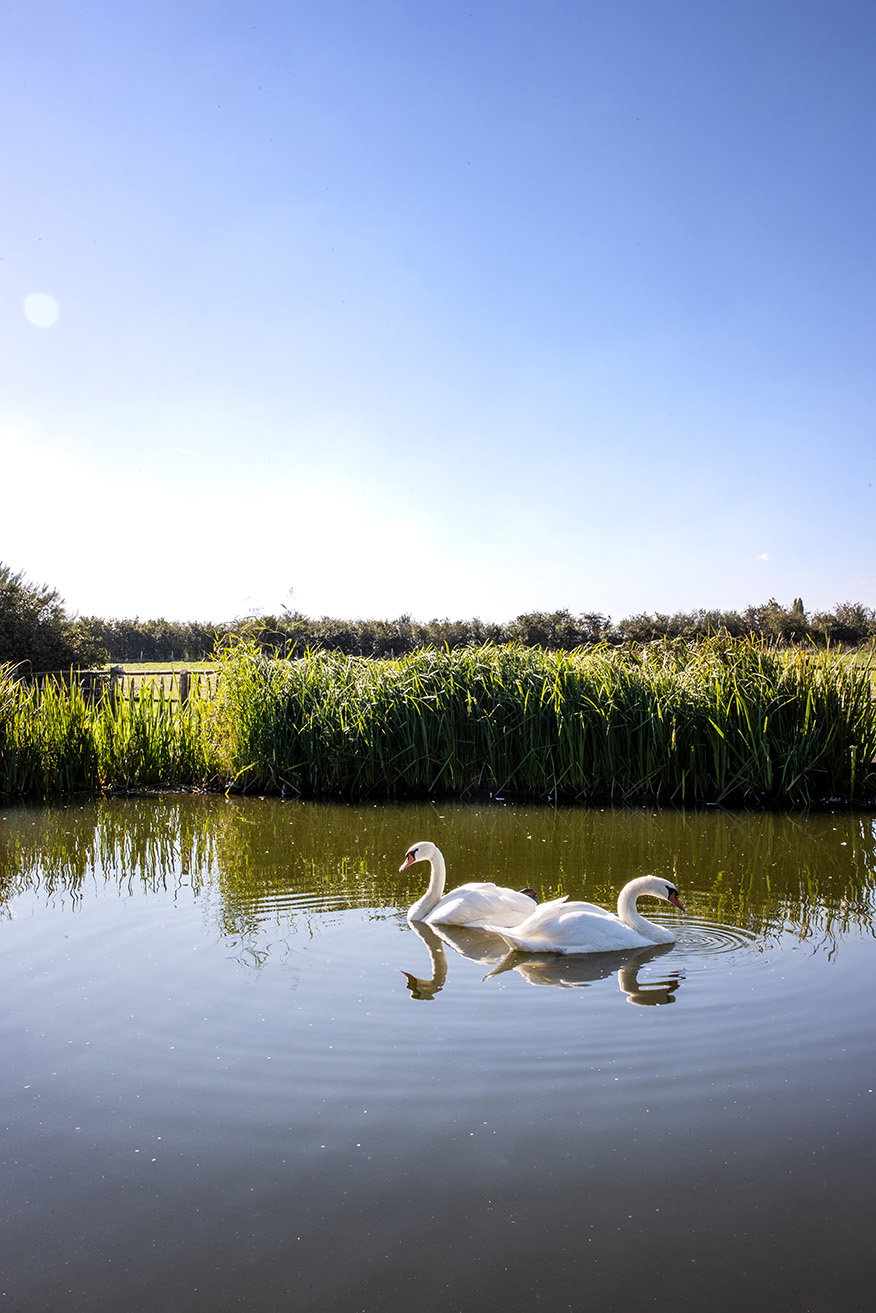 Natuurhuisje in Diksmuide