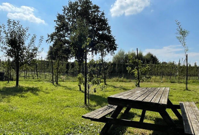 Casa nella natura a 't Goy