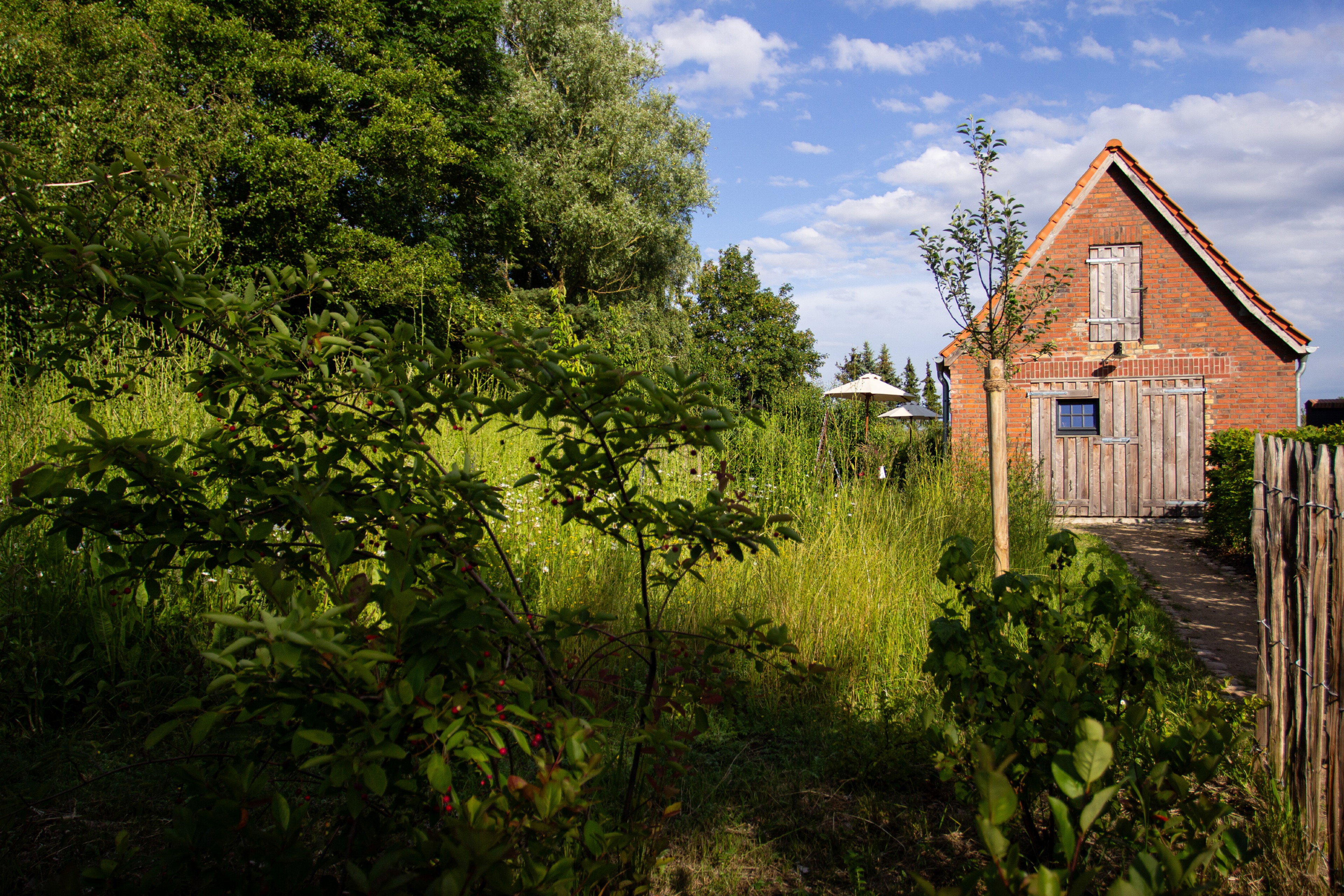 Casa nella natura a Kloster-Tempzin OT Häven