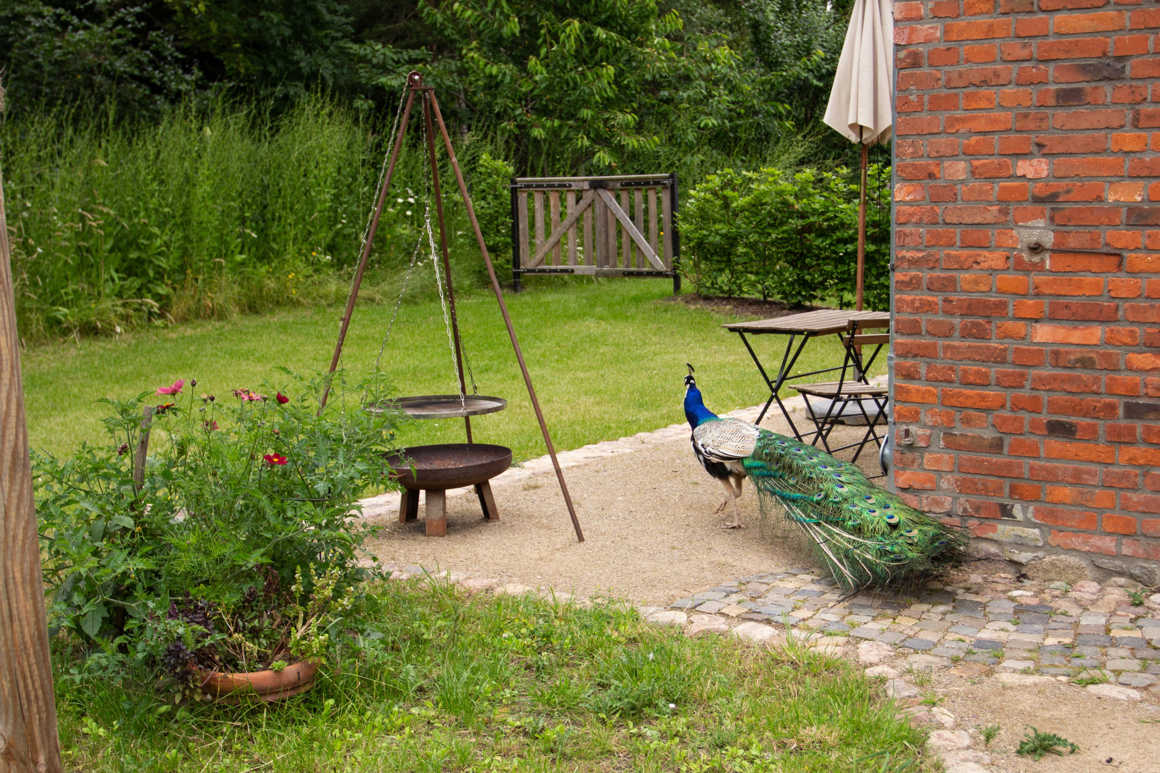 Casa nella natura a Kloster-Tempzin OT Häven