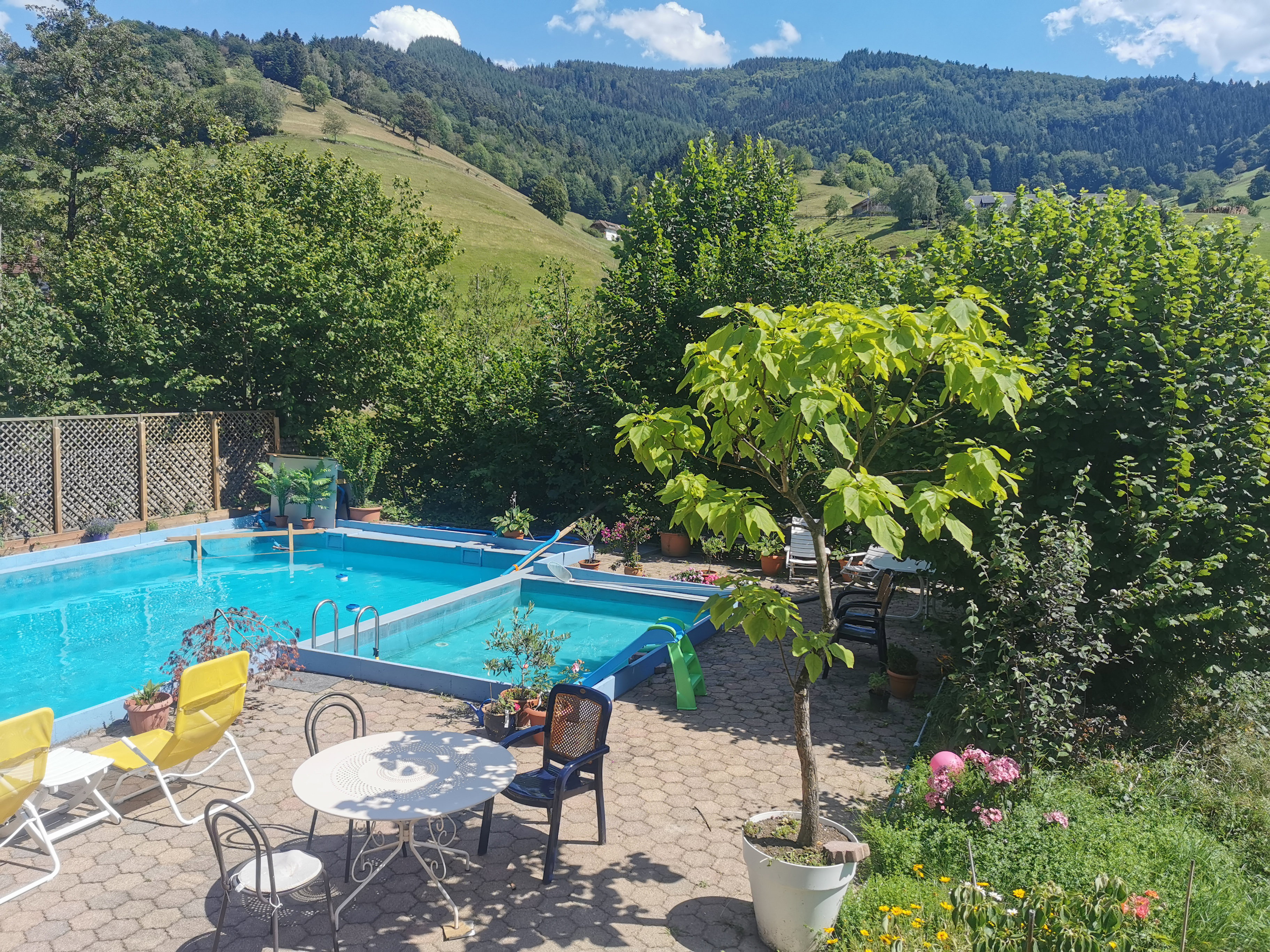 Maison nature à Münstertal