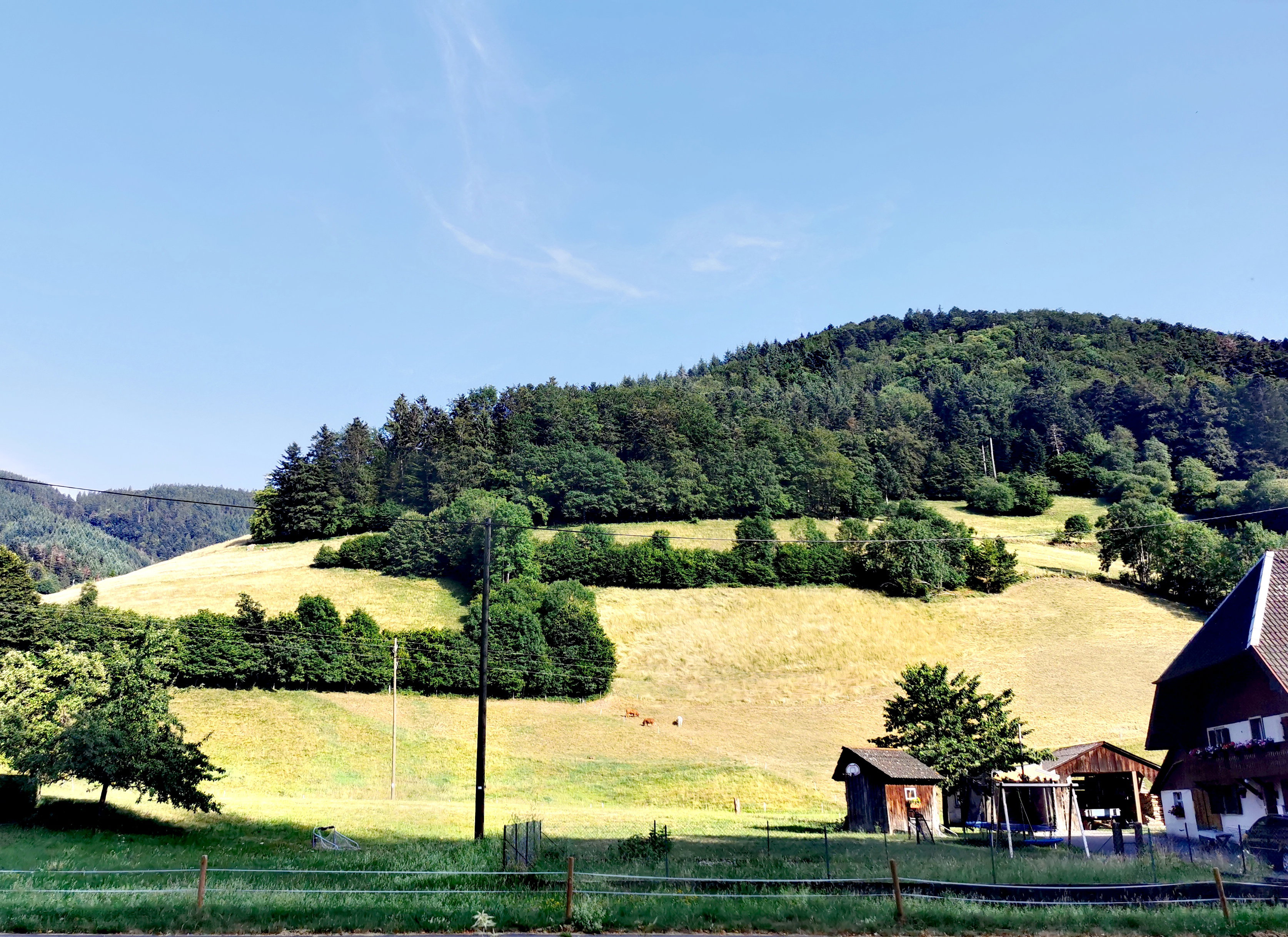 - image: 24