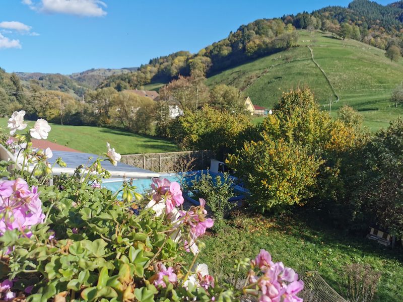 Maison nature à Münstertal