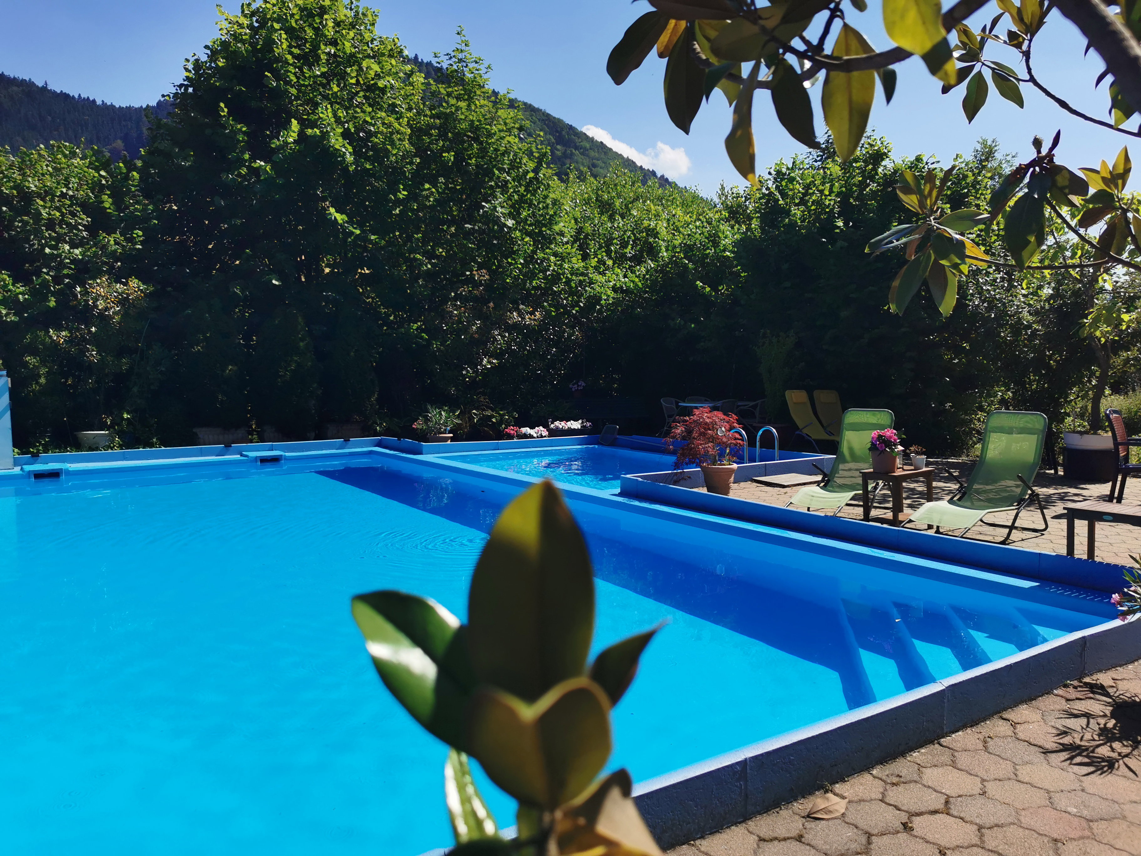 Maison nature à Münstertal