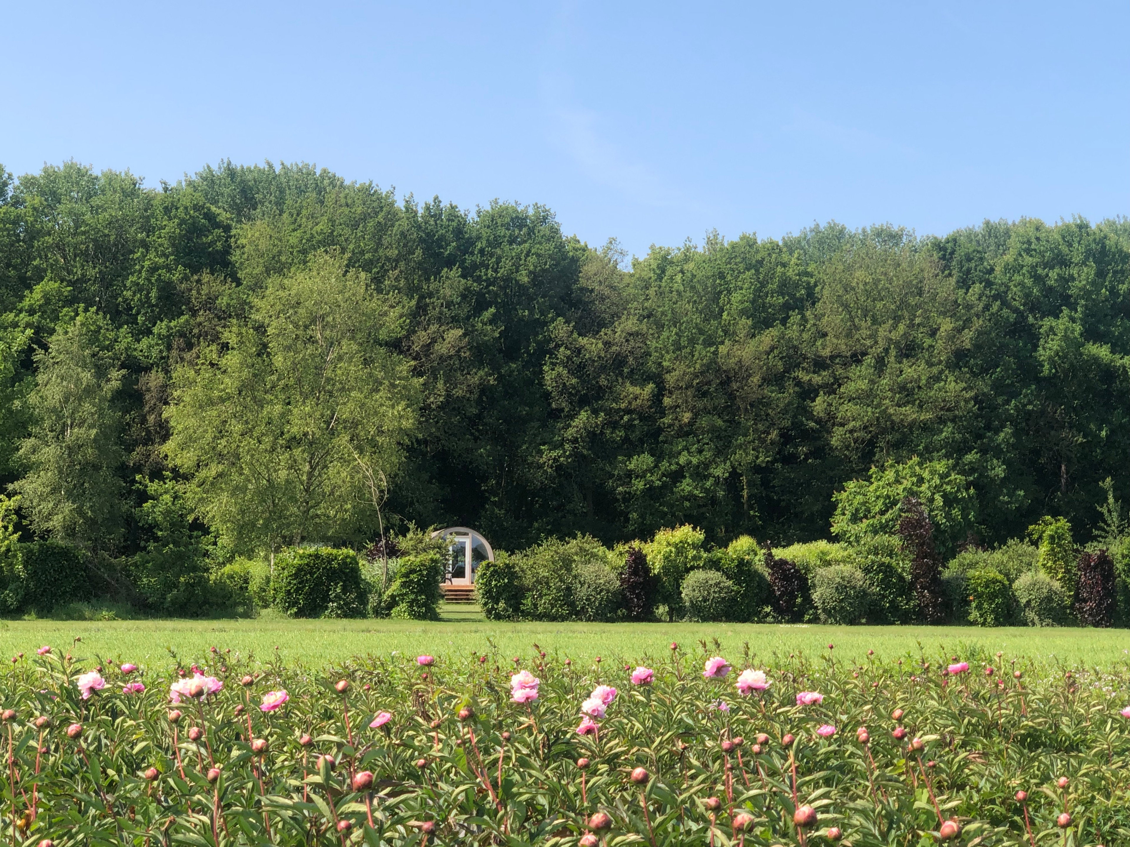 Natuurhuisje in De Krim