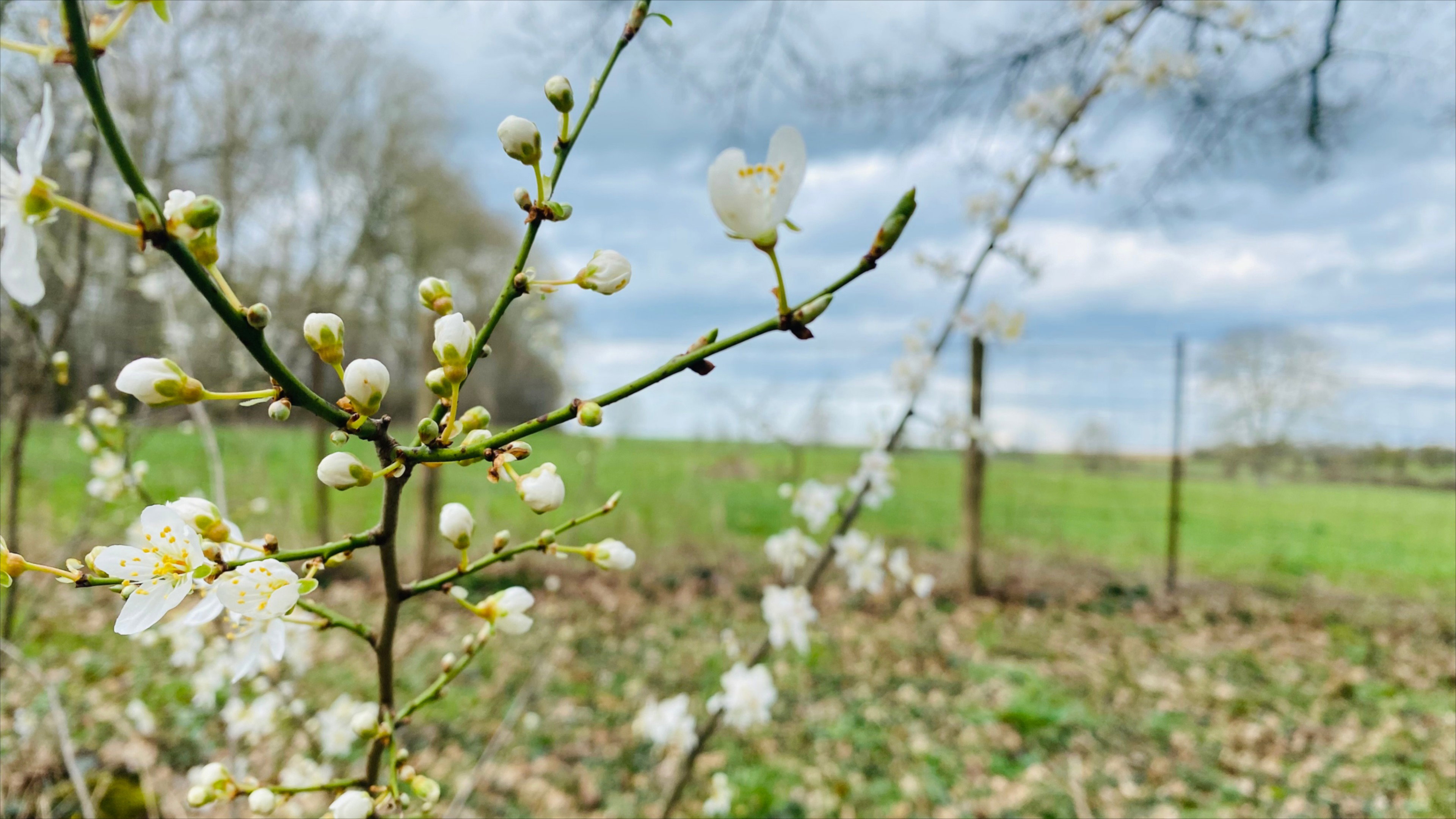 Natuurhuisje in Landouzy-la-Cour