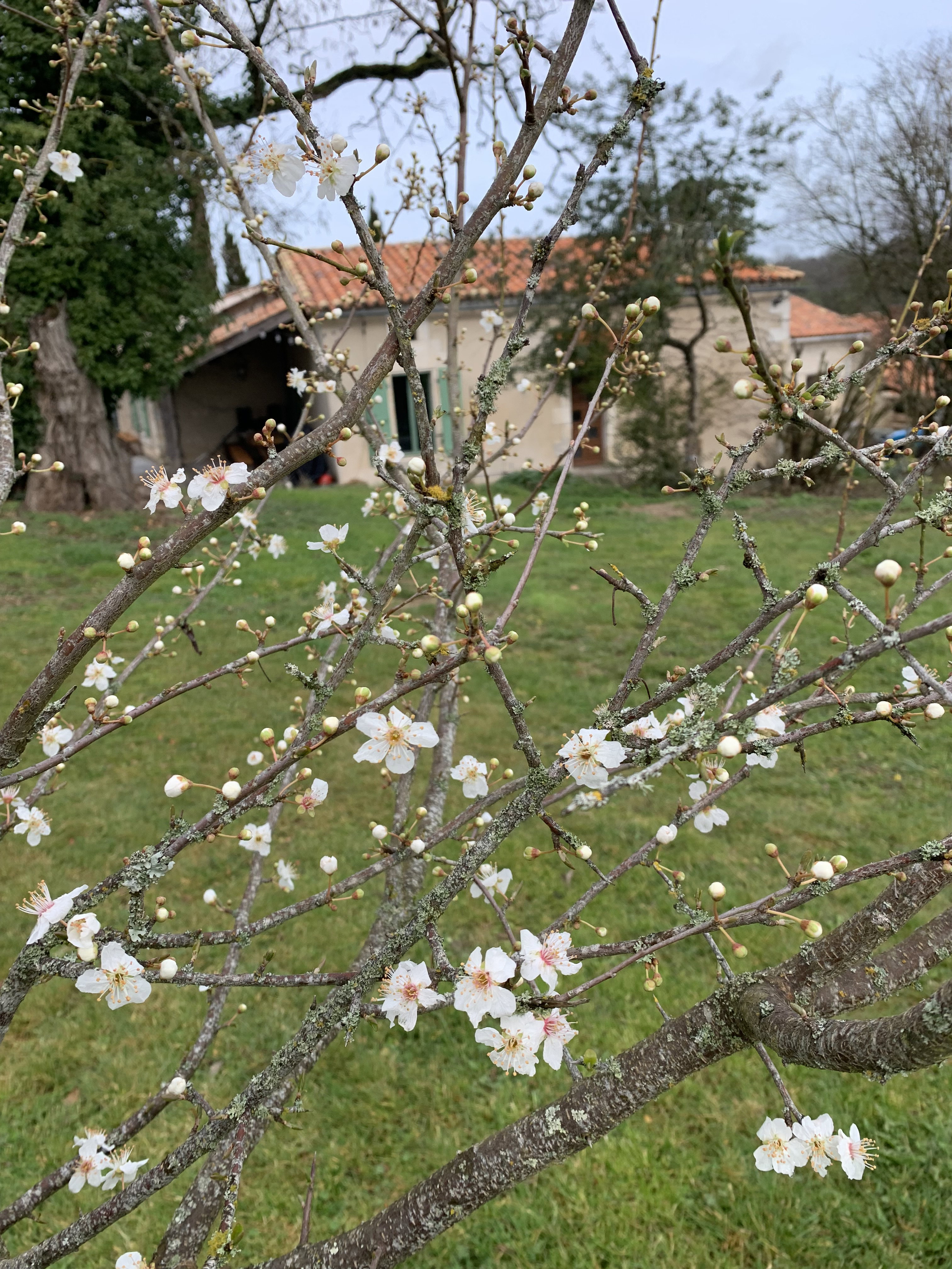 Casa nella natura a Juignac