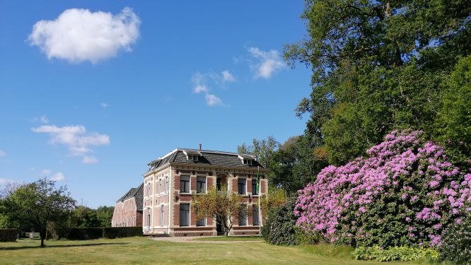 Nature house in Winterswijk Woold