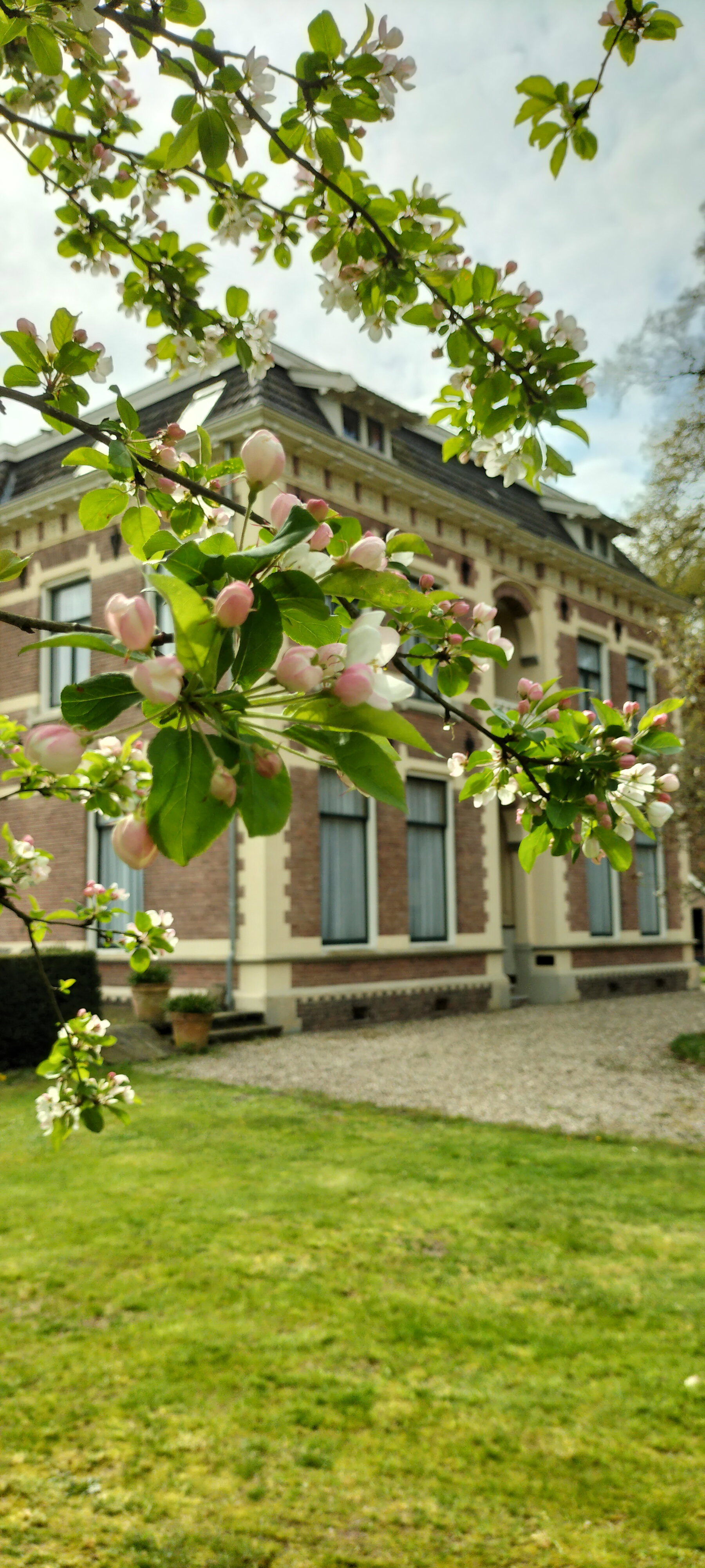 Nature house in Winterswijk Woold