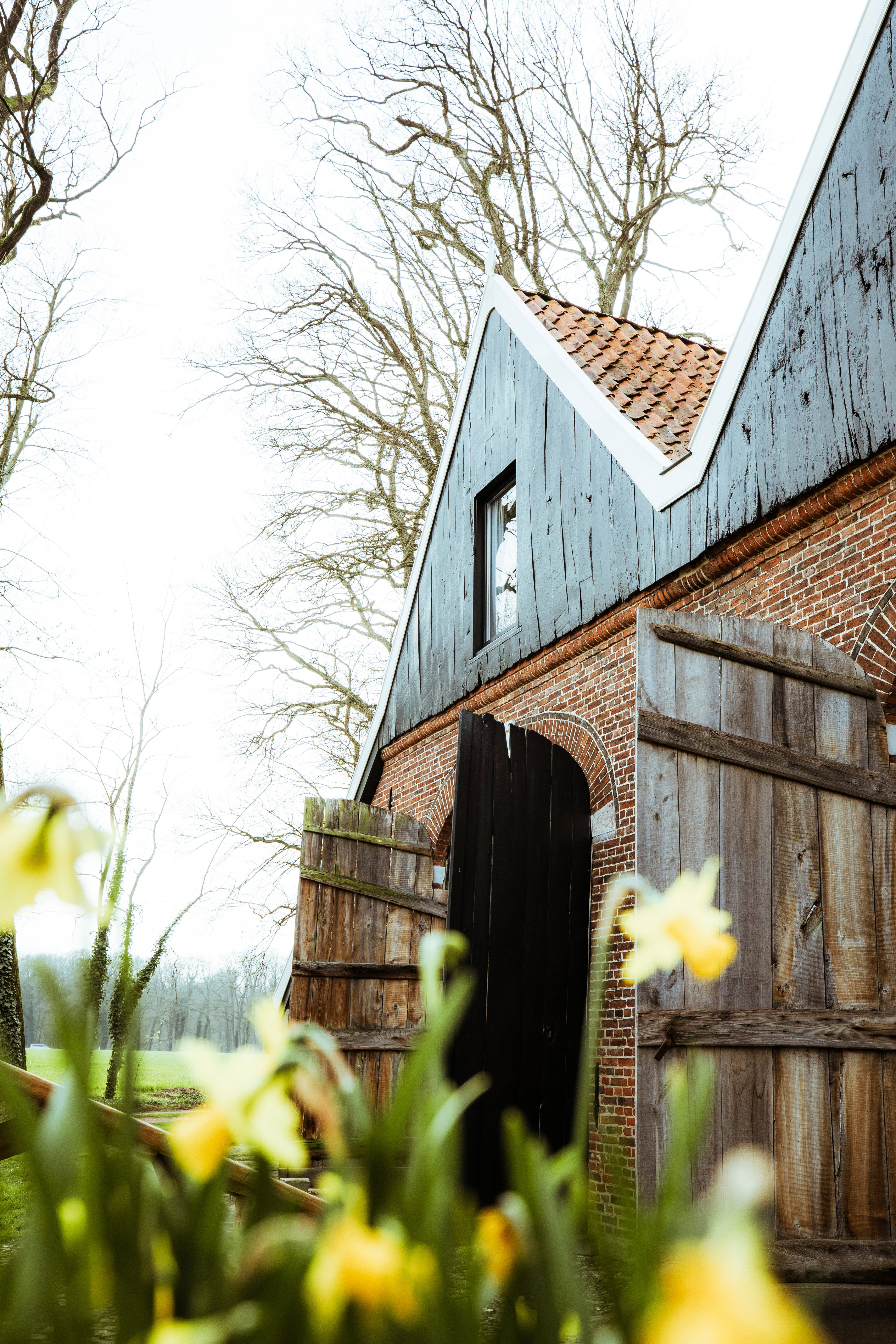 Nature house in Winterswijk Woold