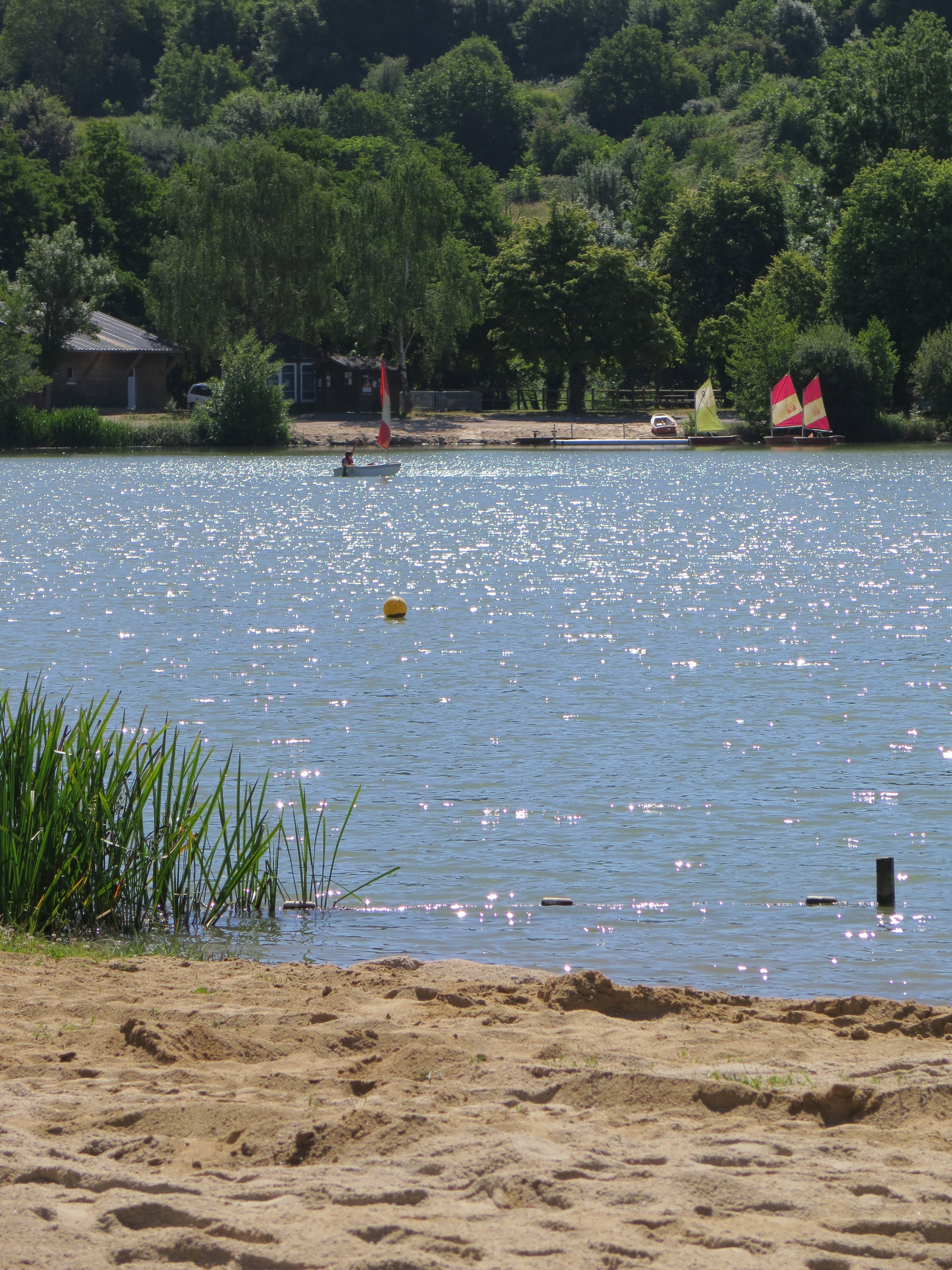 - image: 11