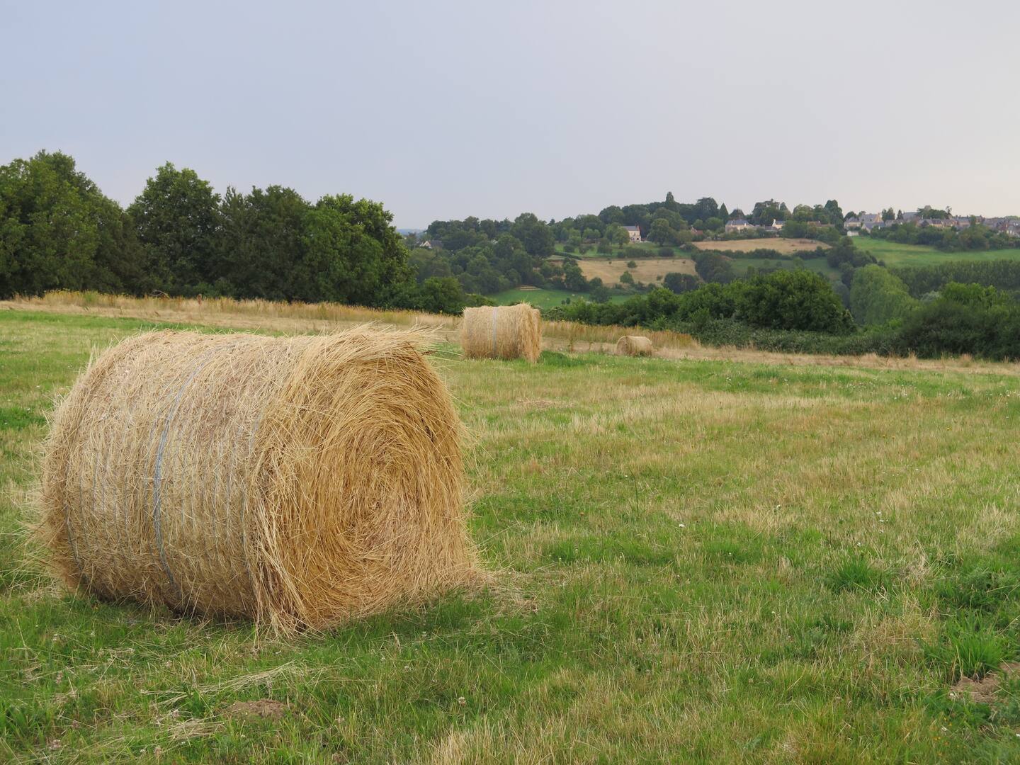 - image: 13
