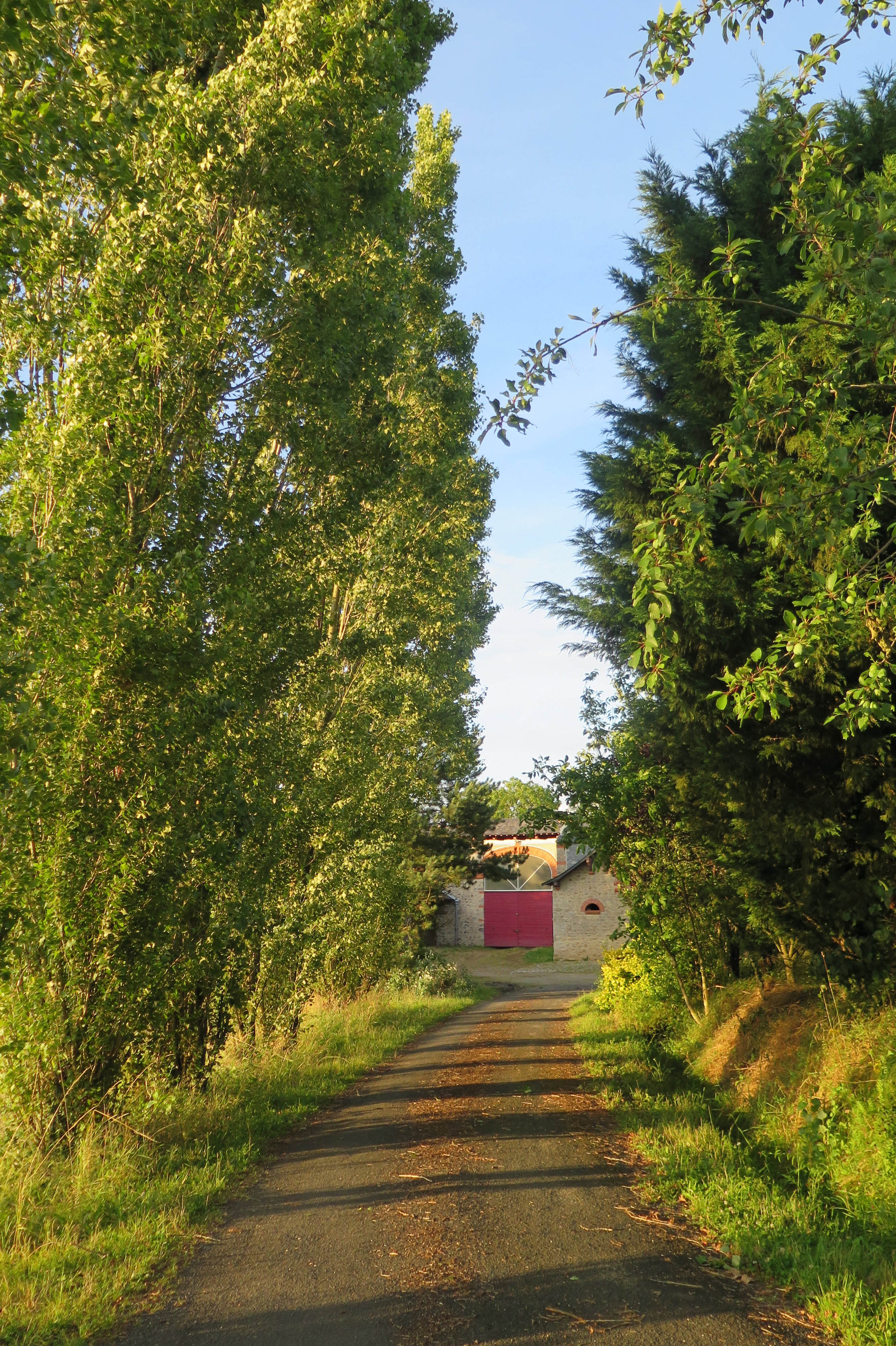 - image: 19