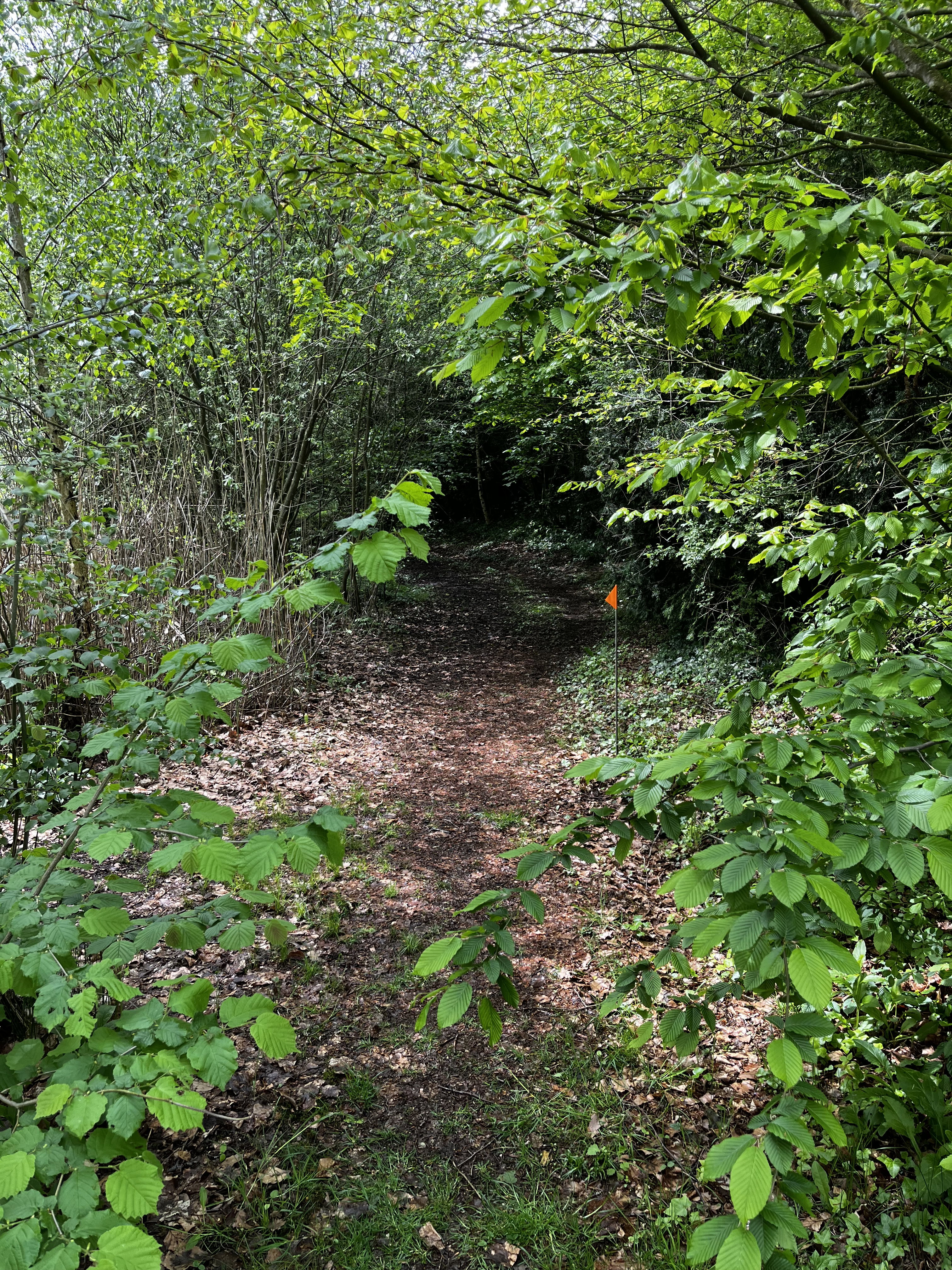Natuurhuisje in Diepenheim