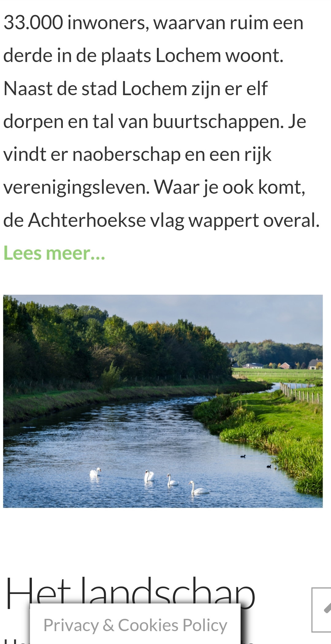 - image: 25