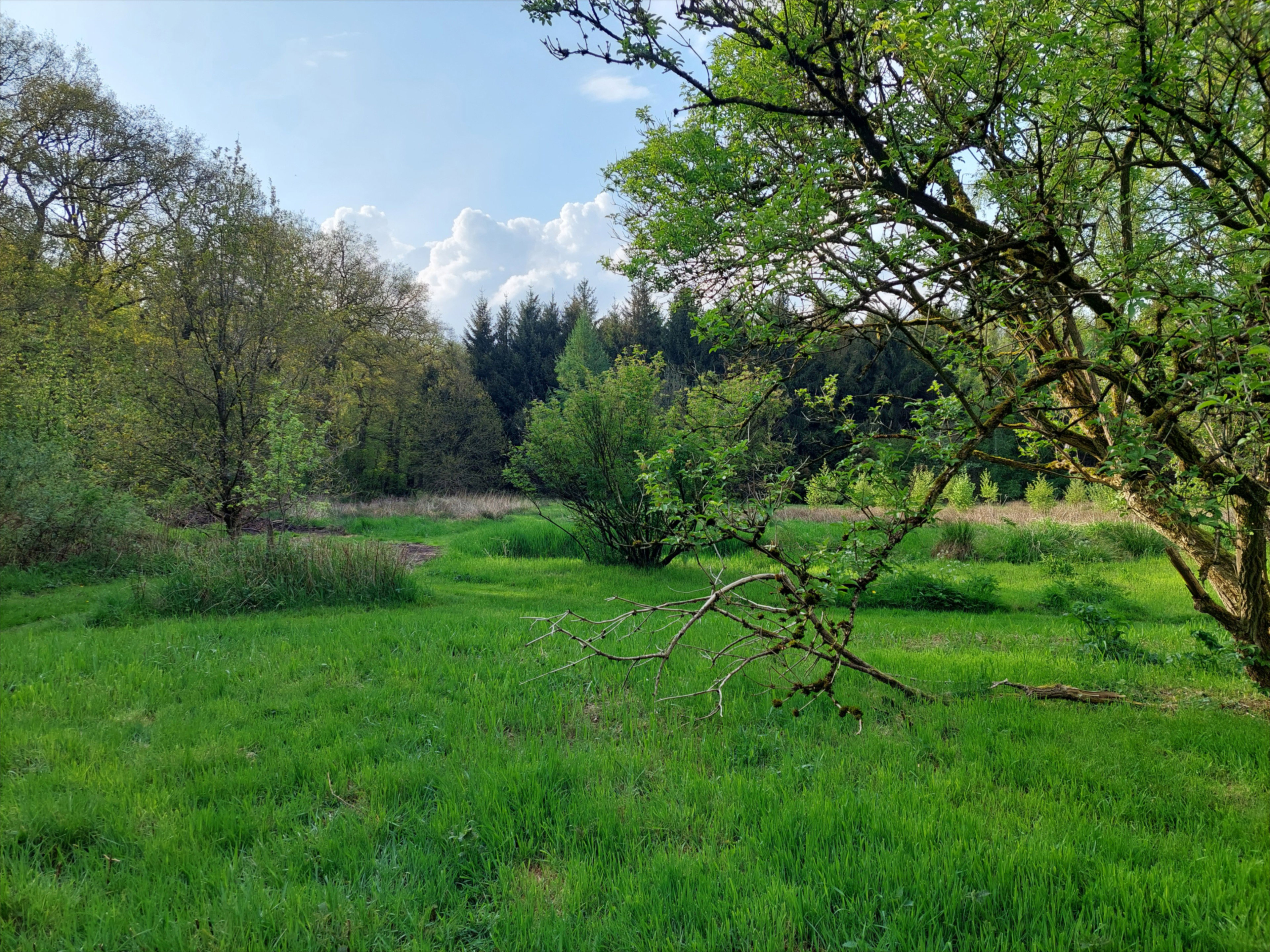 Natuurhuisje in Dedemsvaart