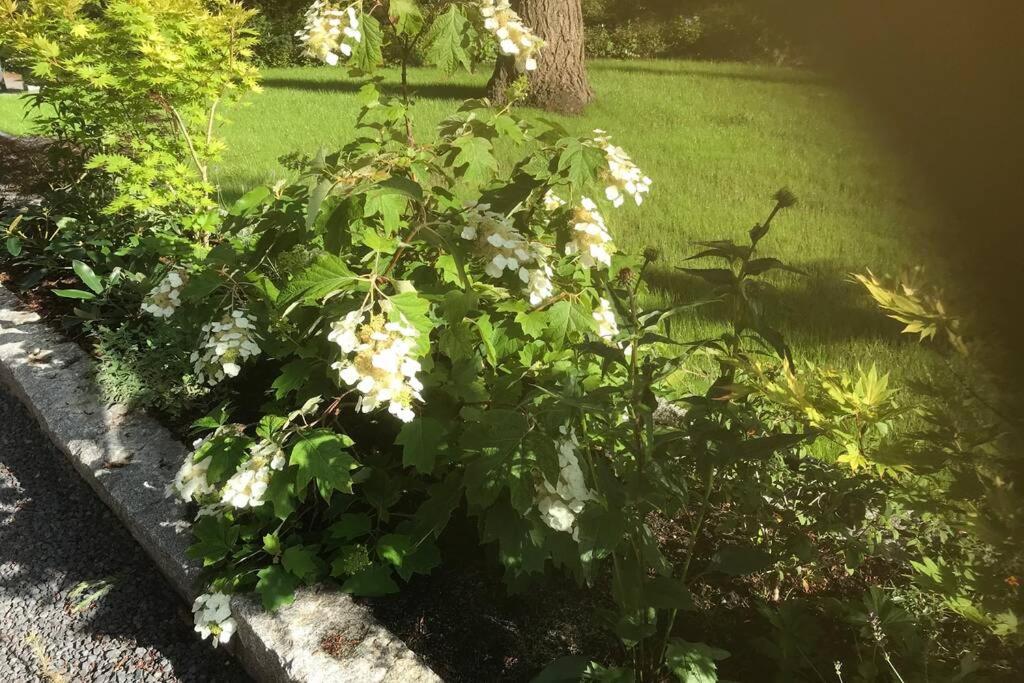 Natuurhuisje in Lochem