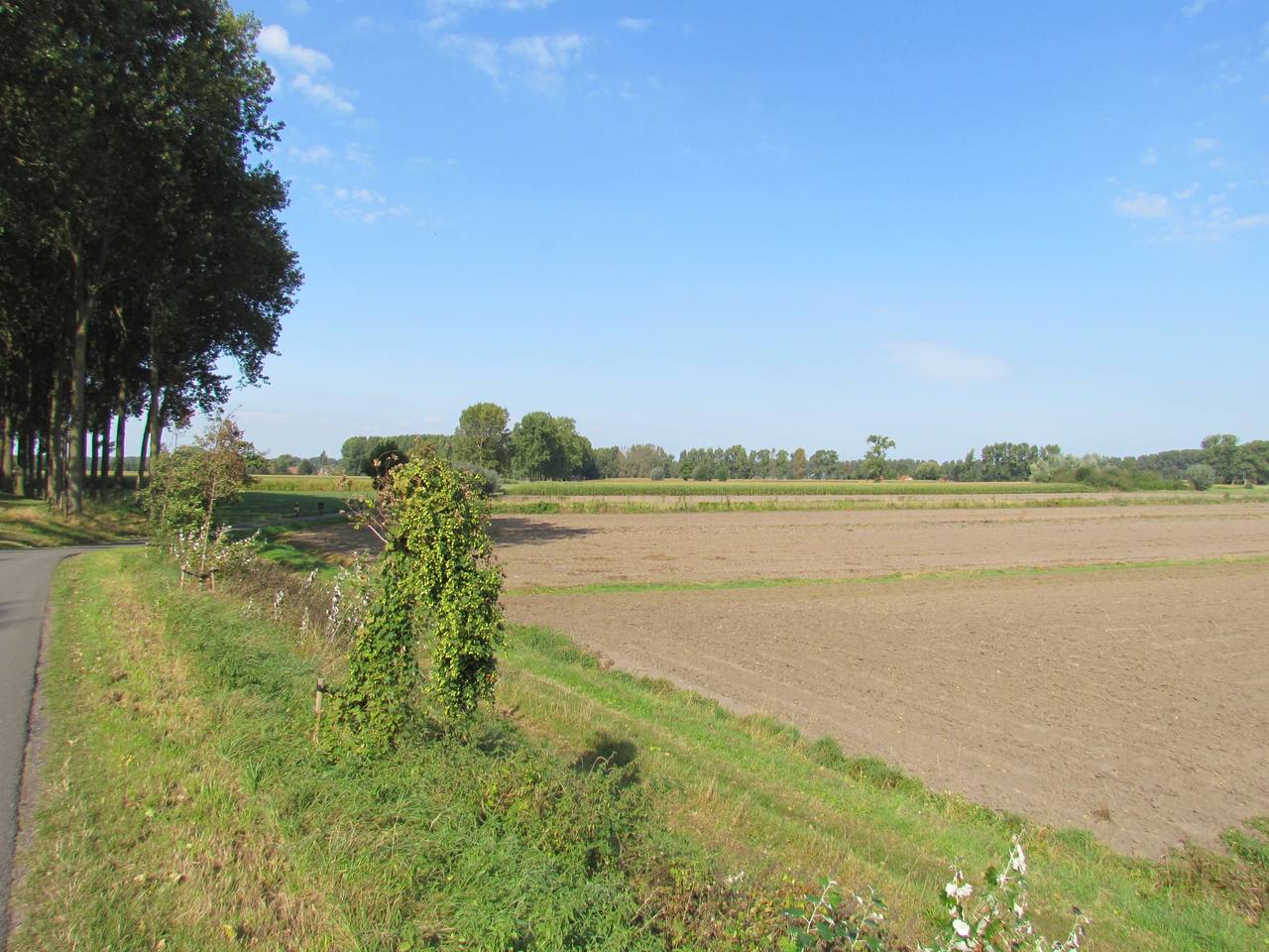 Maison nature à Maldegem