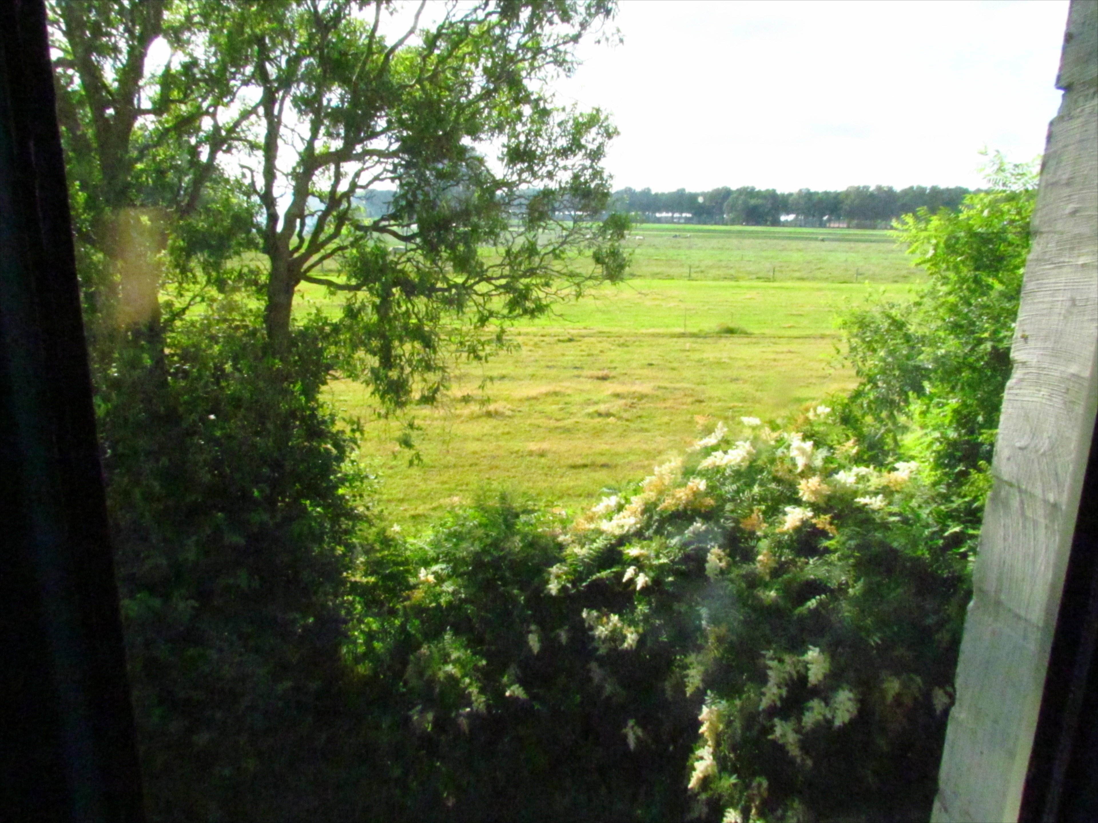 Maison nature à Maldegem