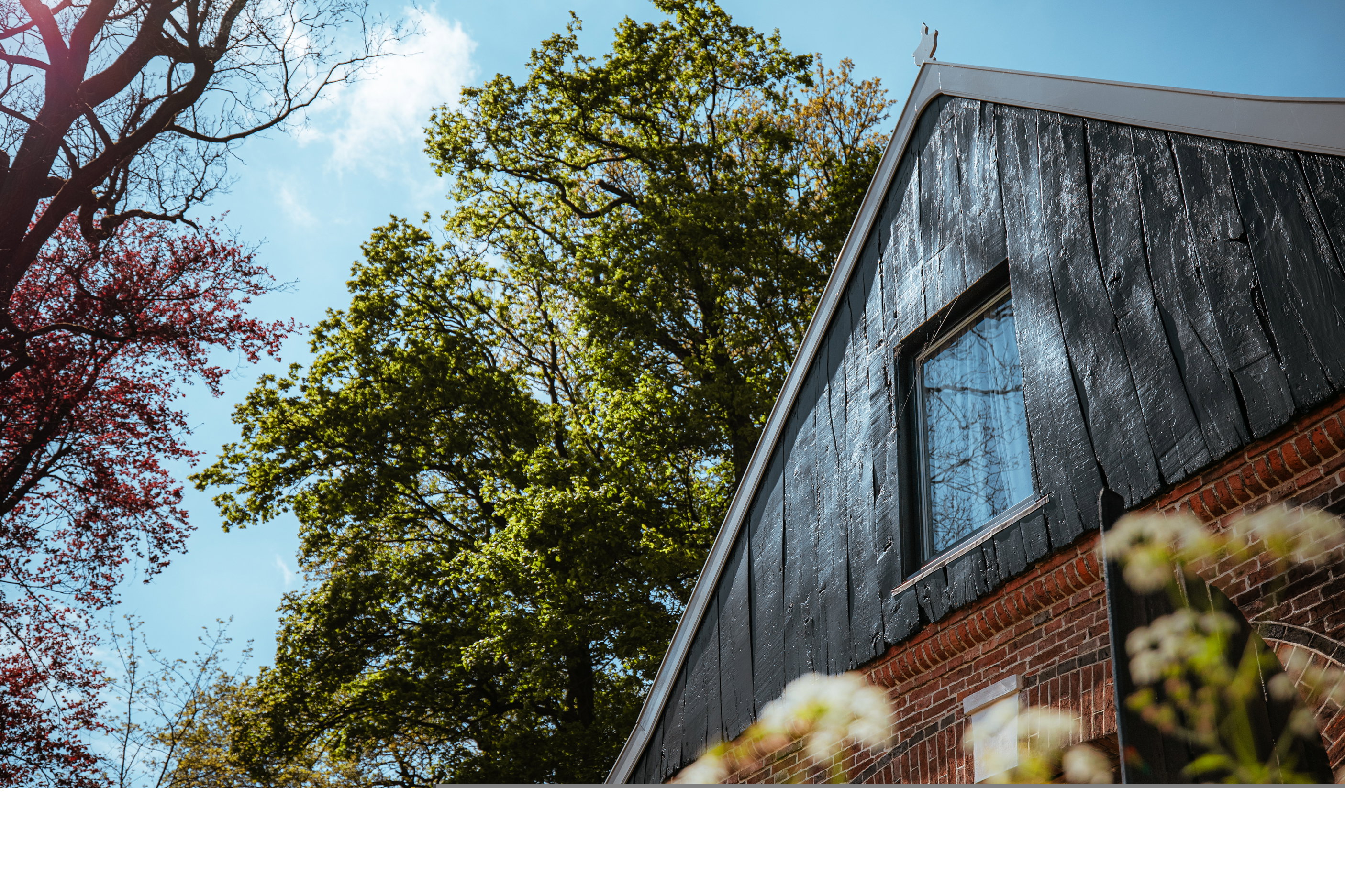 Nature house in Winterswijk Woold