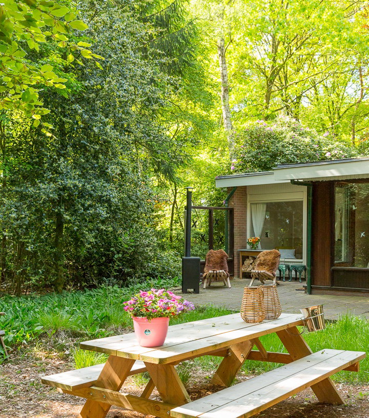 Natuurhuisje in Vledder