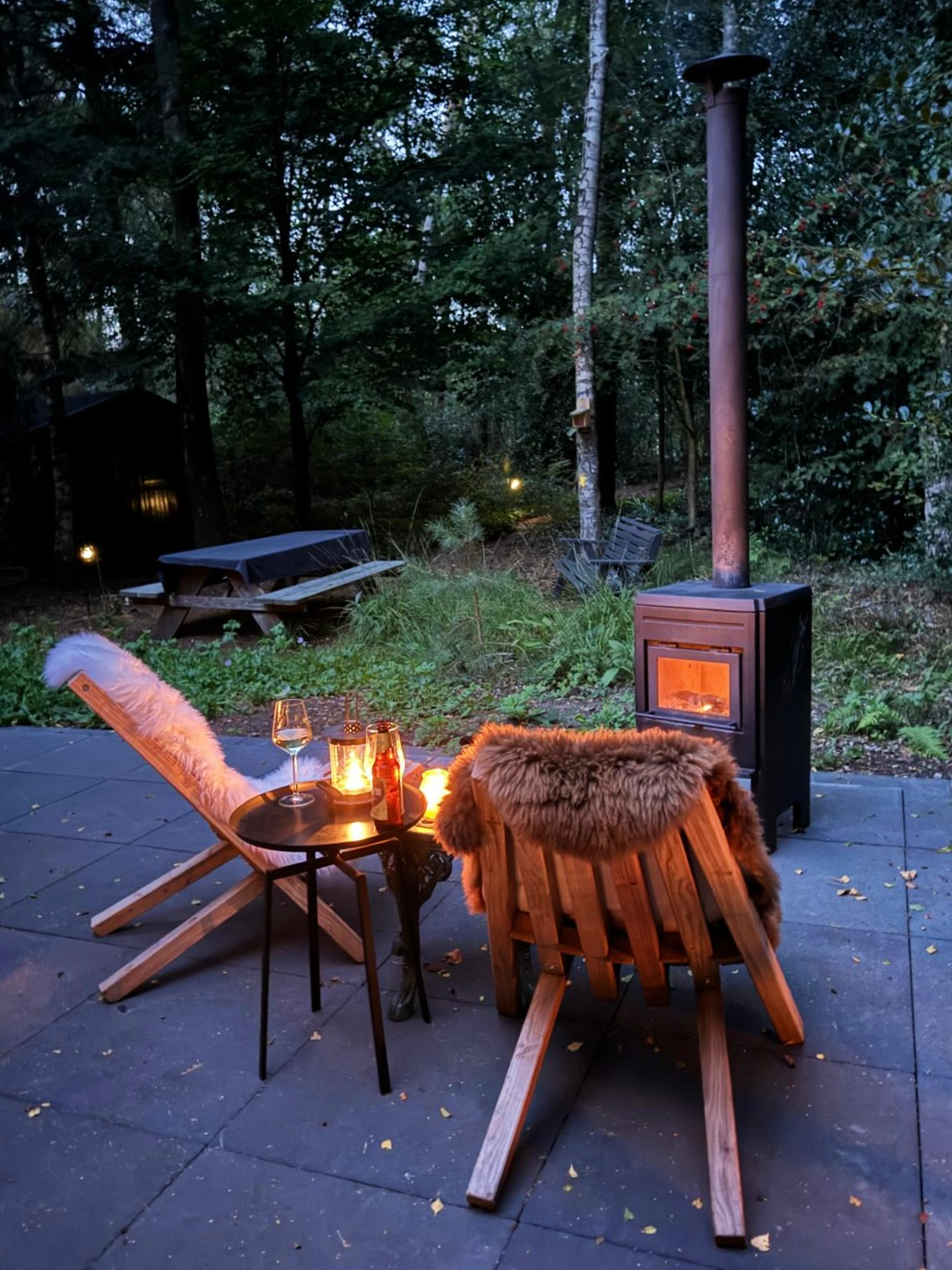 Natuurhuisje in Vledder