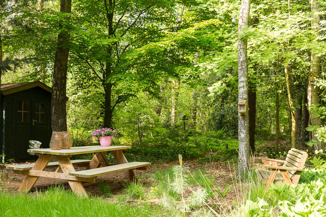 Natuurhuisje in Vledder