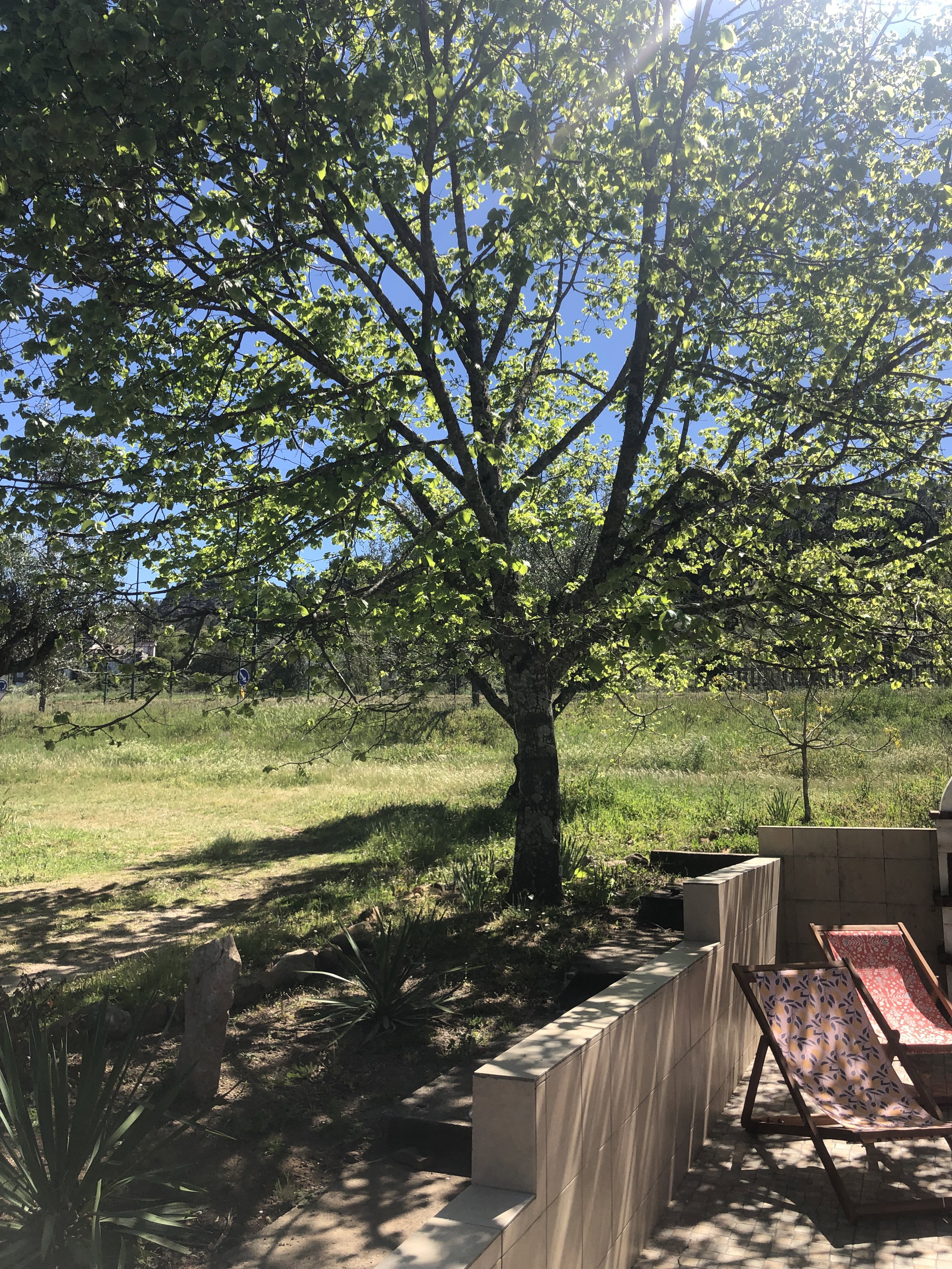 Natuurhuisje in Castelo de Vide