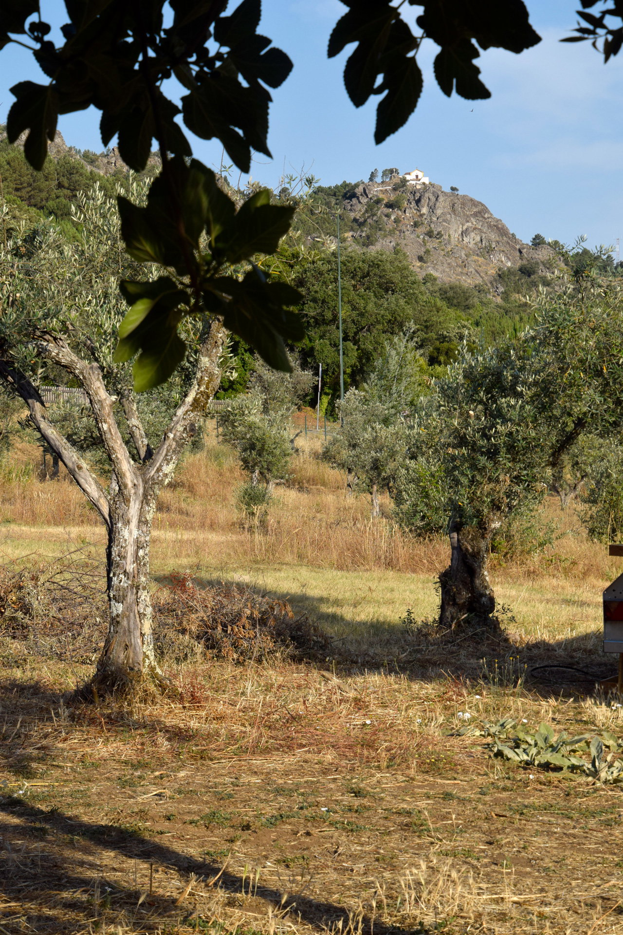 Natuurhuisje in Castelo de Vide