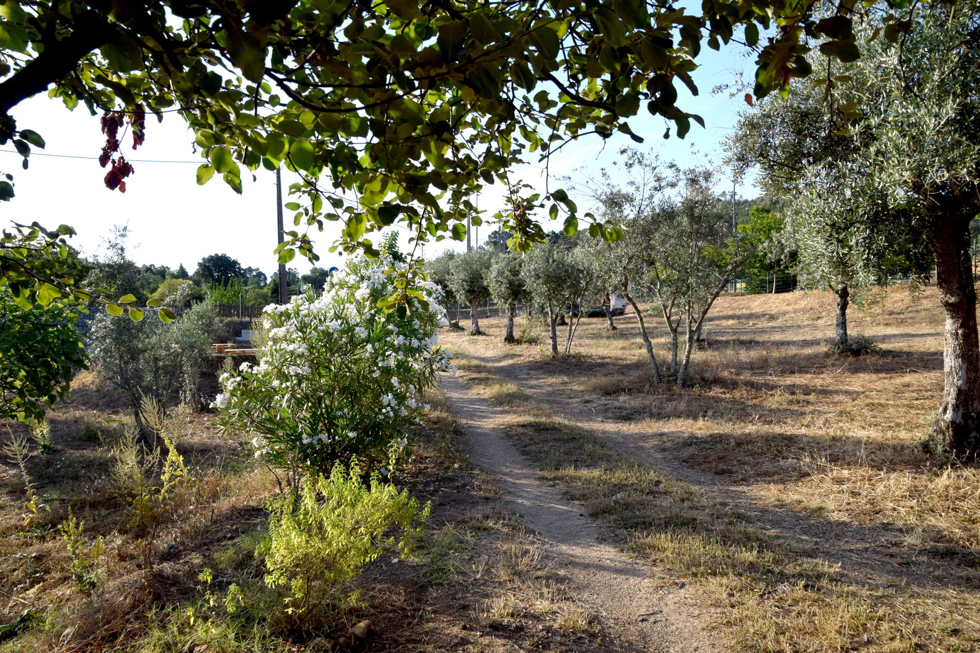 Natuurhuisje in Castelo de Vide