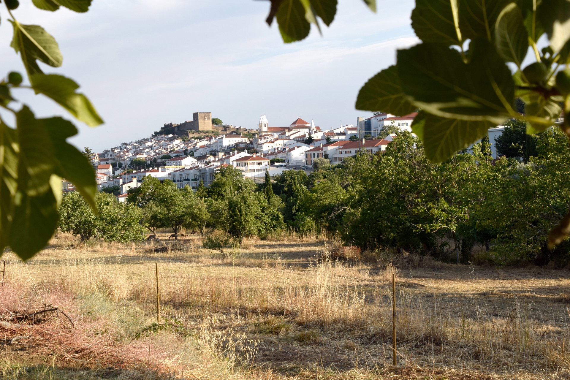 Natuurhuisje in Castelo de Vide