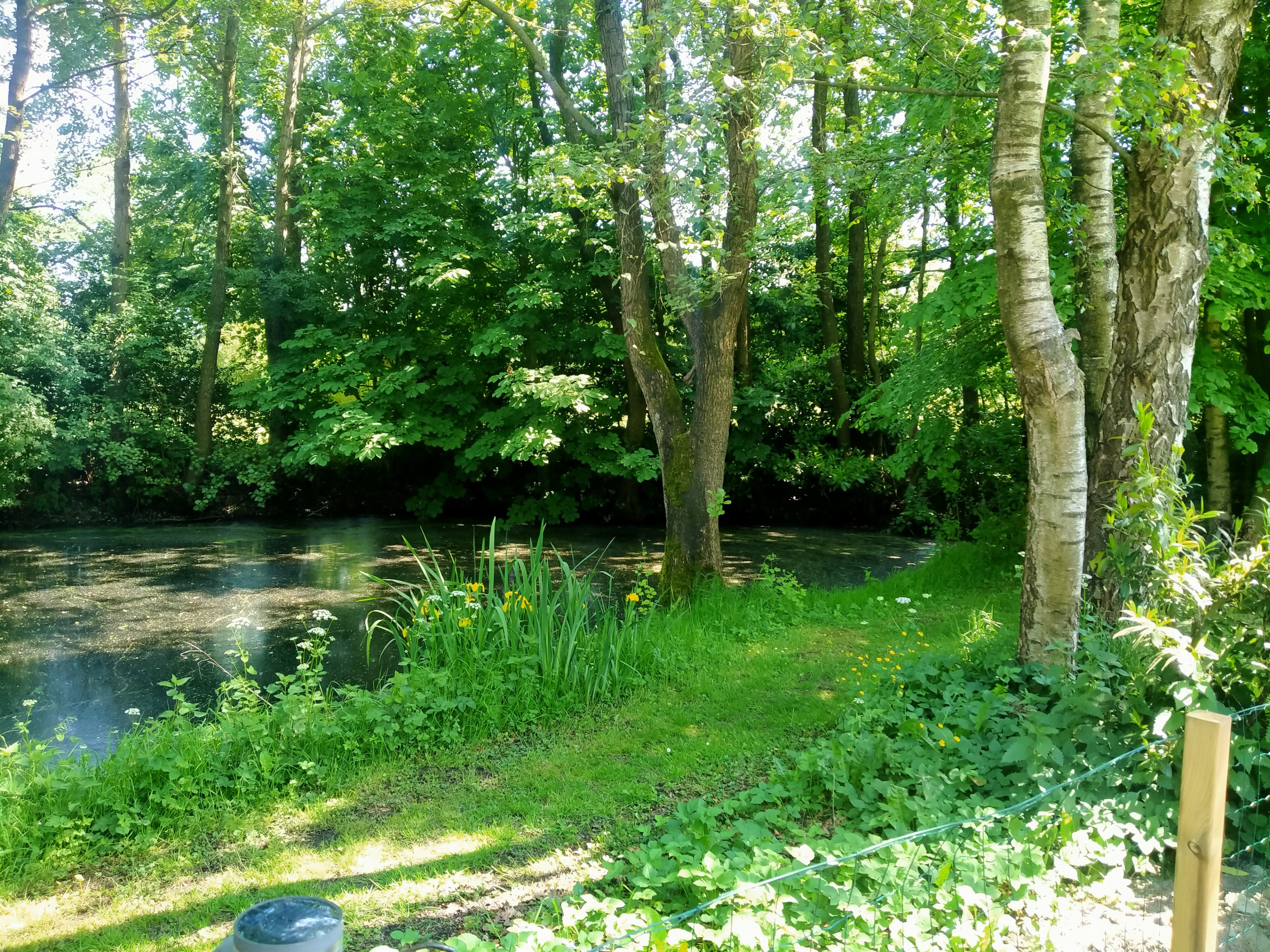 - image: 12