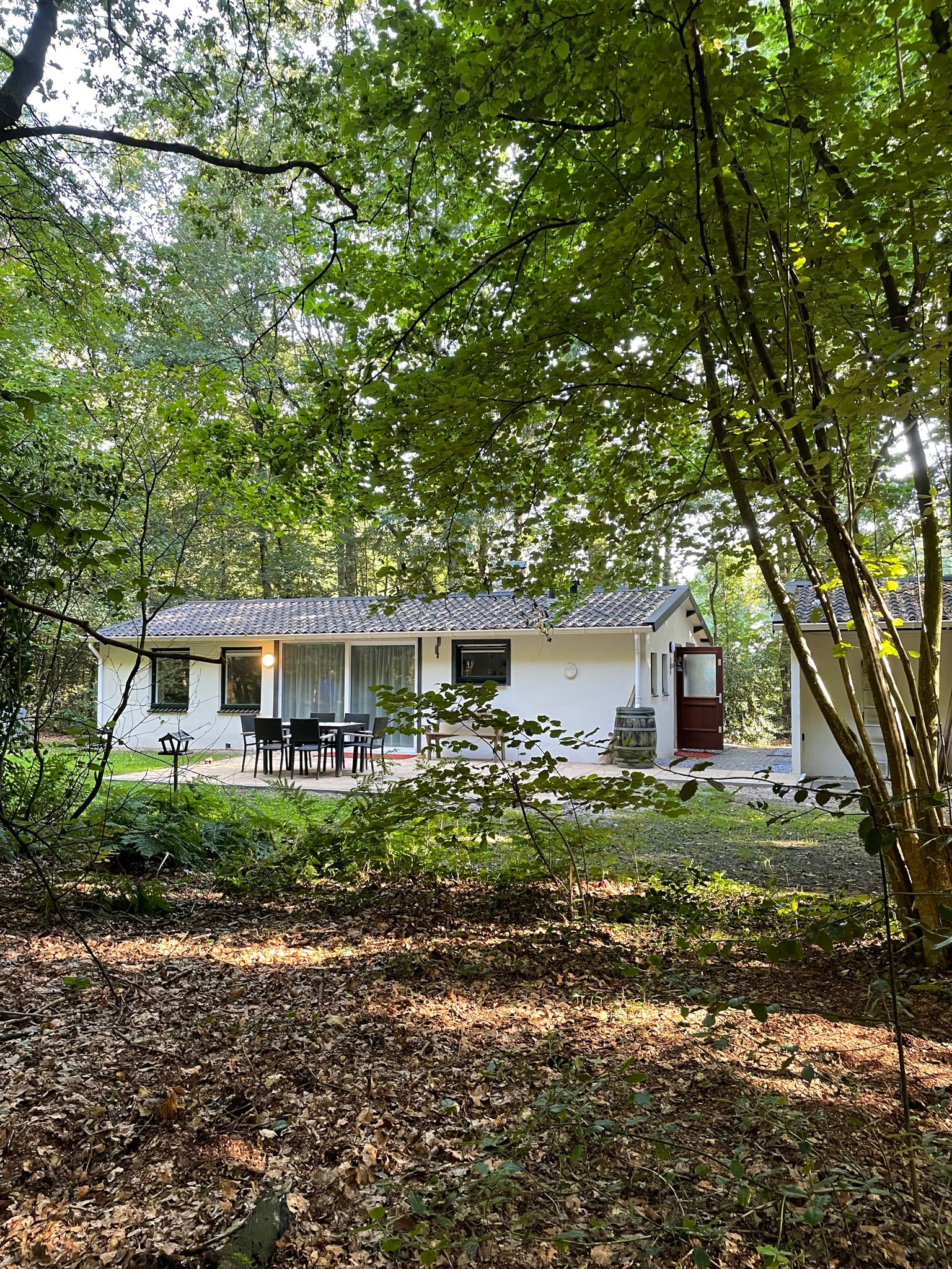 Nature house in Ruinen