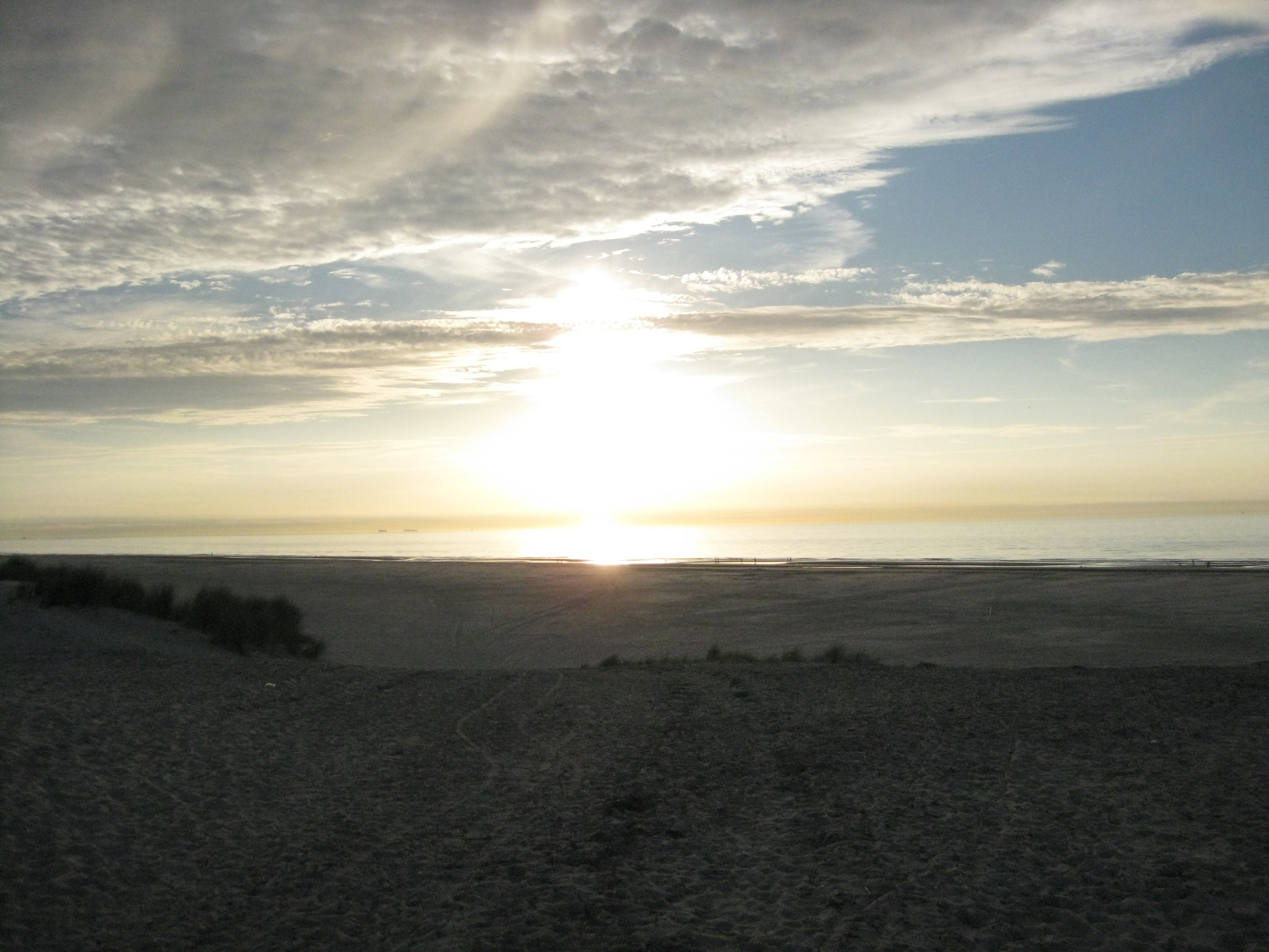 - image: 21
