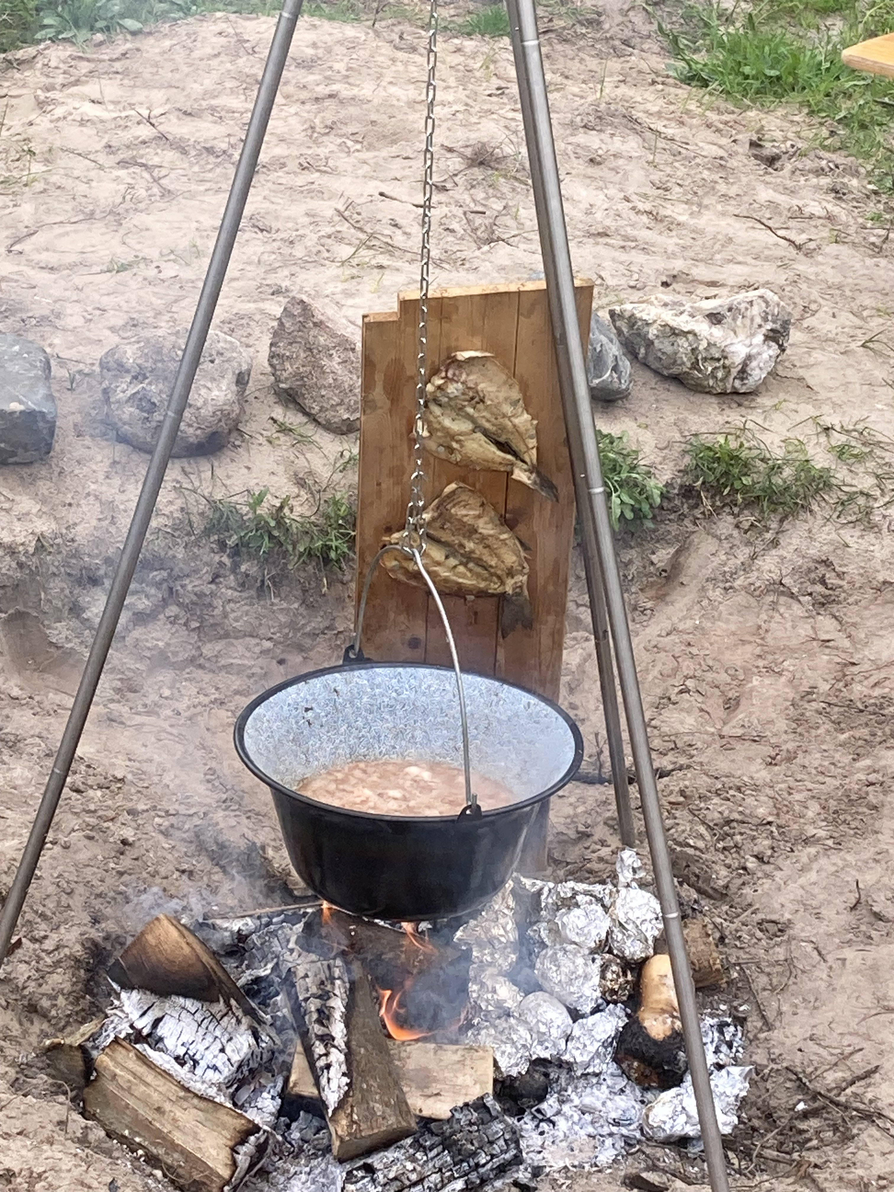 Natuurhuisje in Den Hoorn