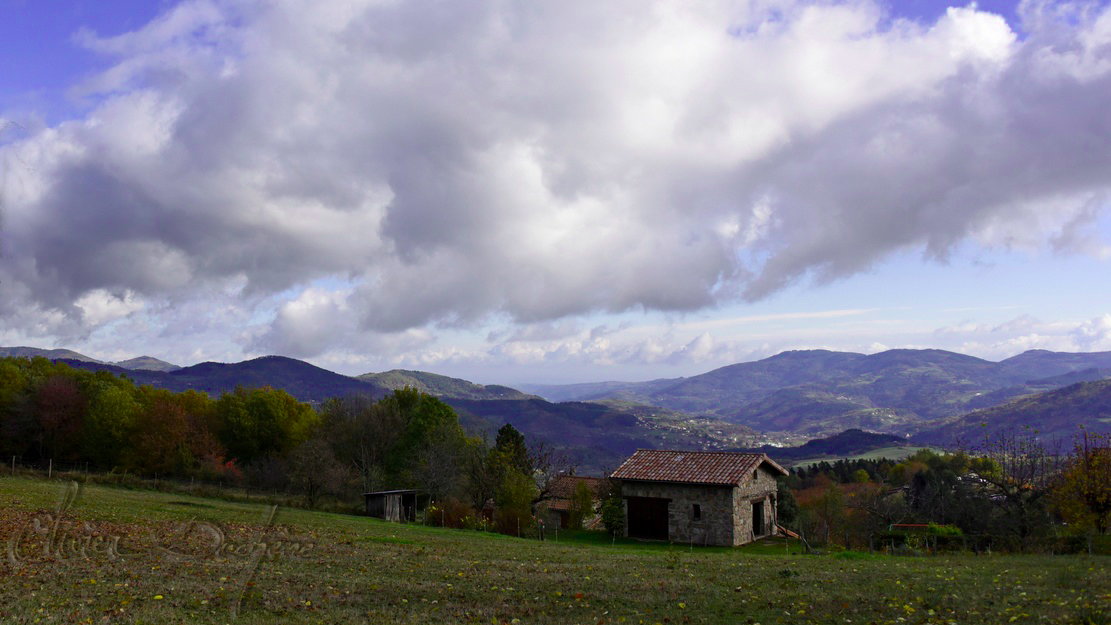 - image: 22