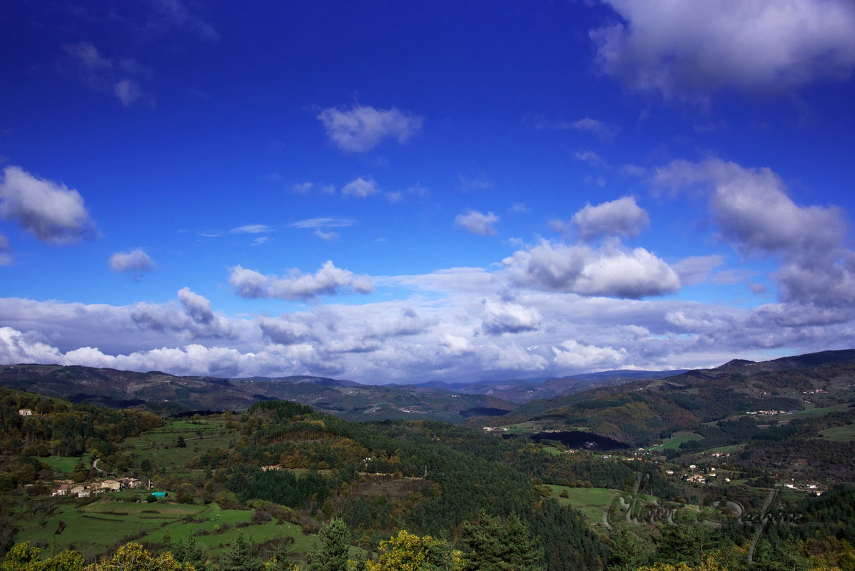 - image: 23