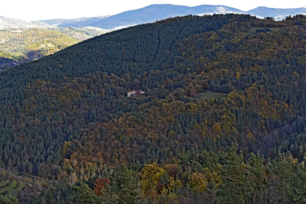 Natuurhuisje in DESAIGNES