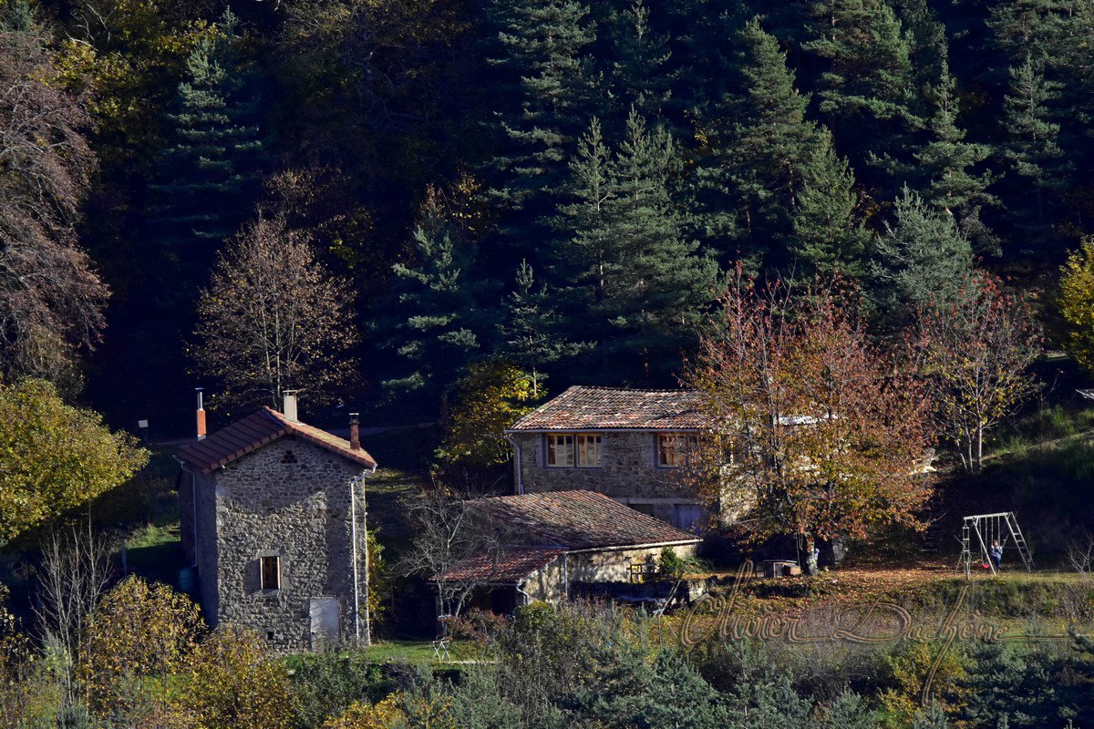 Natuurhuisje in DESAIGNES